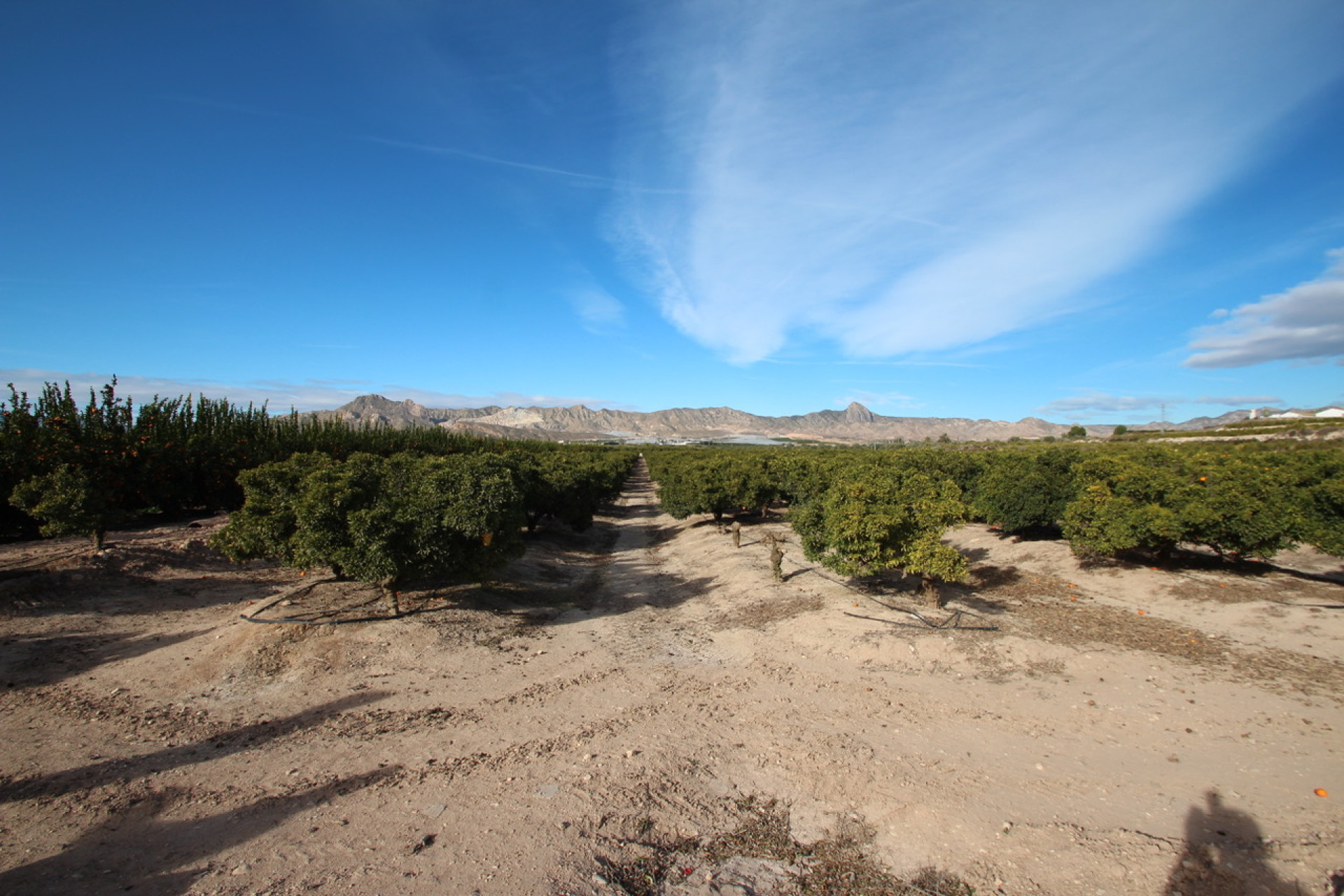 Resale - Finca / Country House - Murcia - Costa Blanca Sur