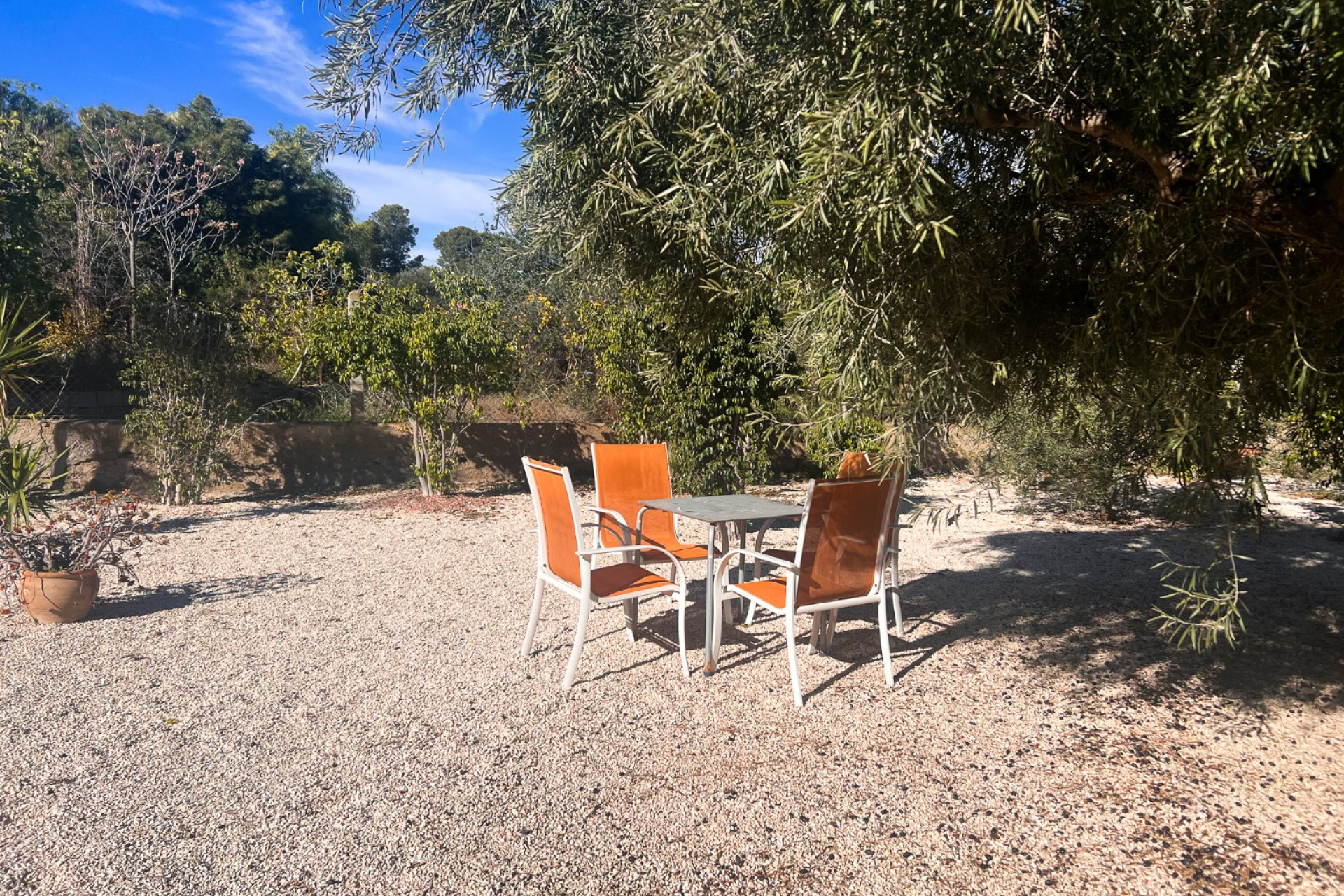 Resale - Finca / Country Property - Alicante - Moralet - Cañada del Fenollar