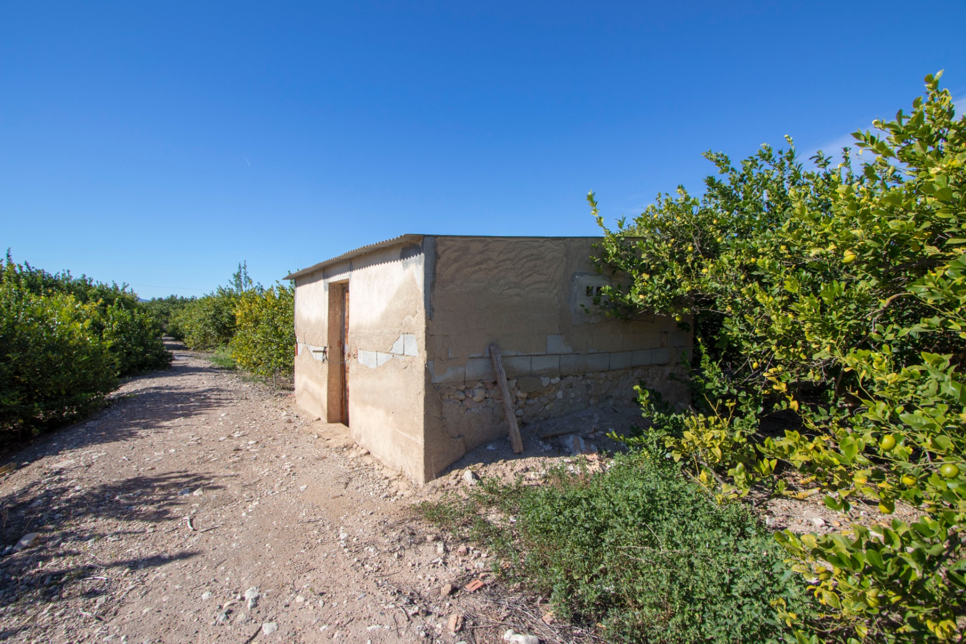 Resale - Finca / Country Property - Alicante