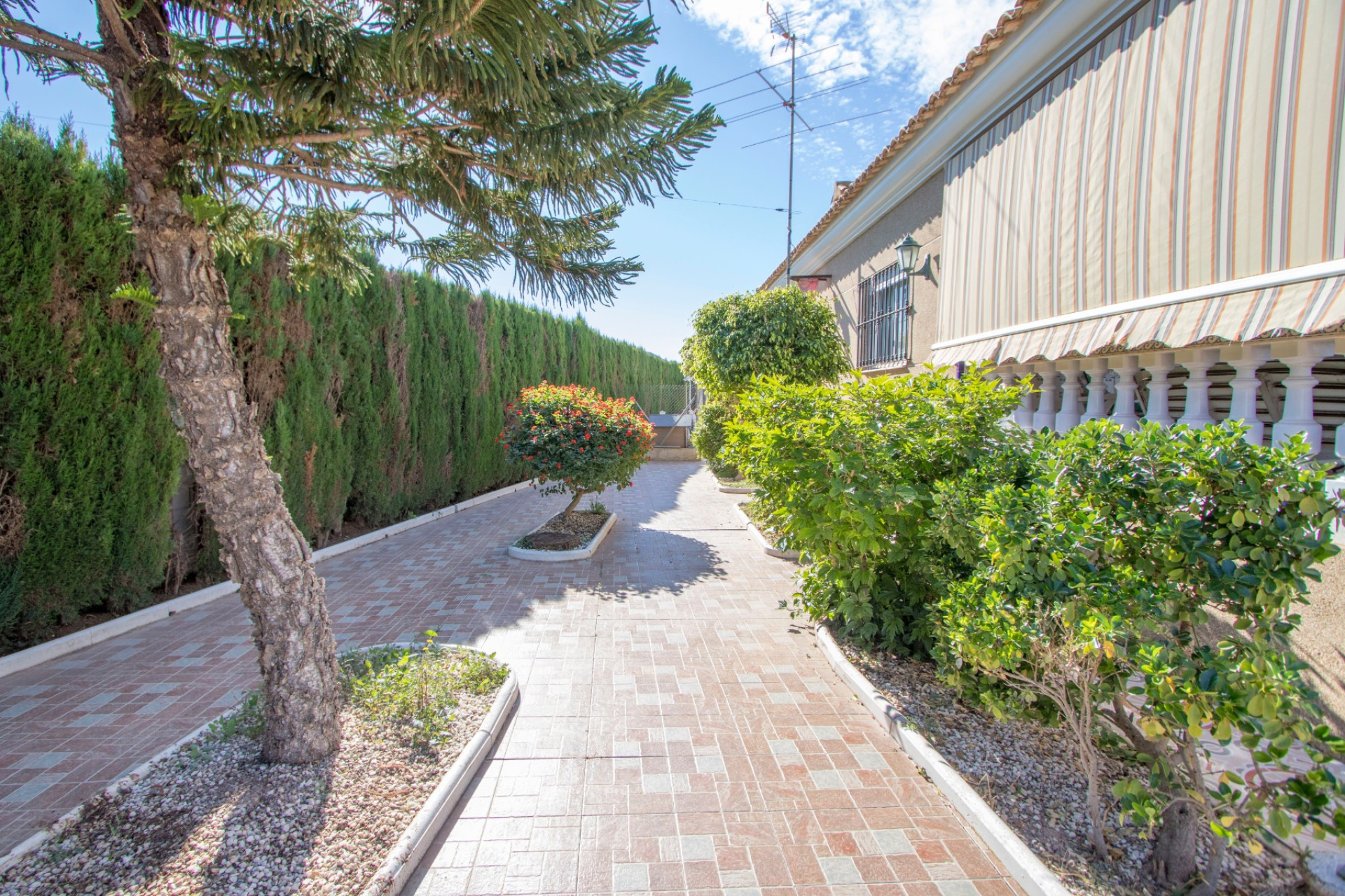 Resale - Finca / Country Property - Alicante