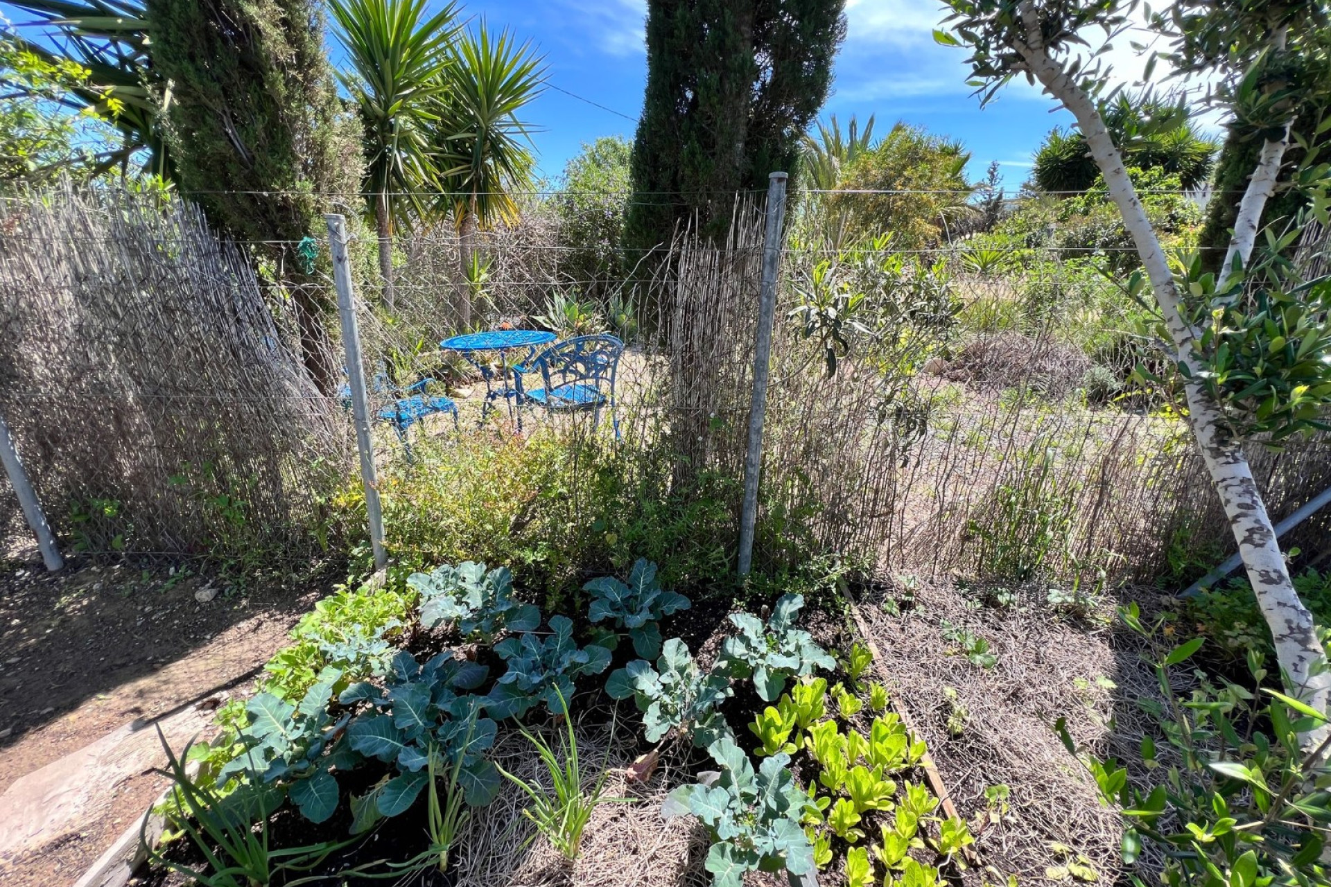 Resale - Finca / Country Property - Cartagena