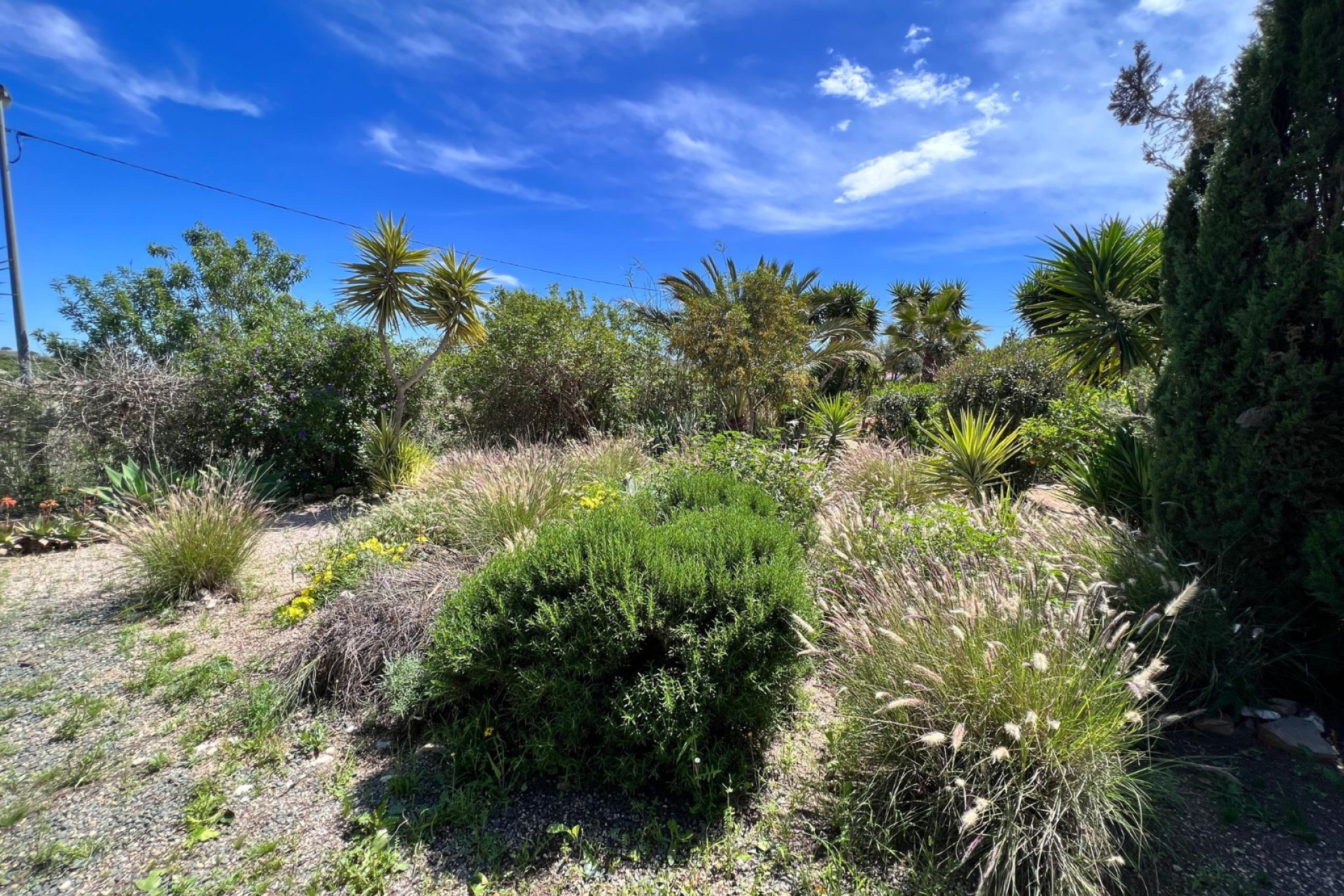 Resale - Finca / Country Property - Cartagena