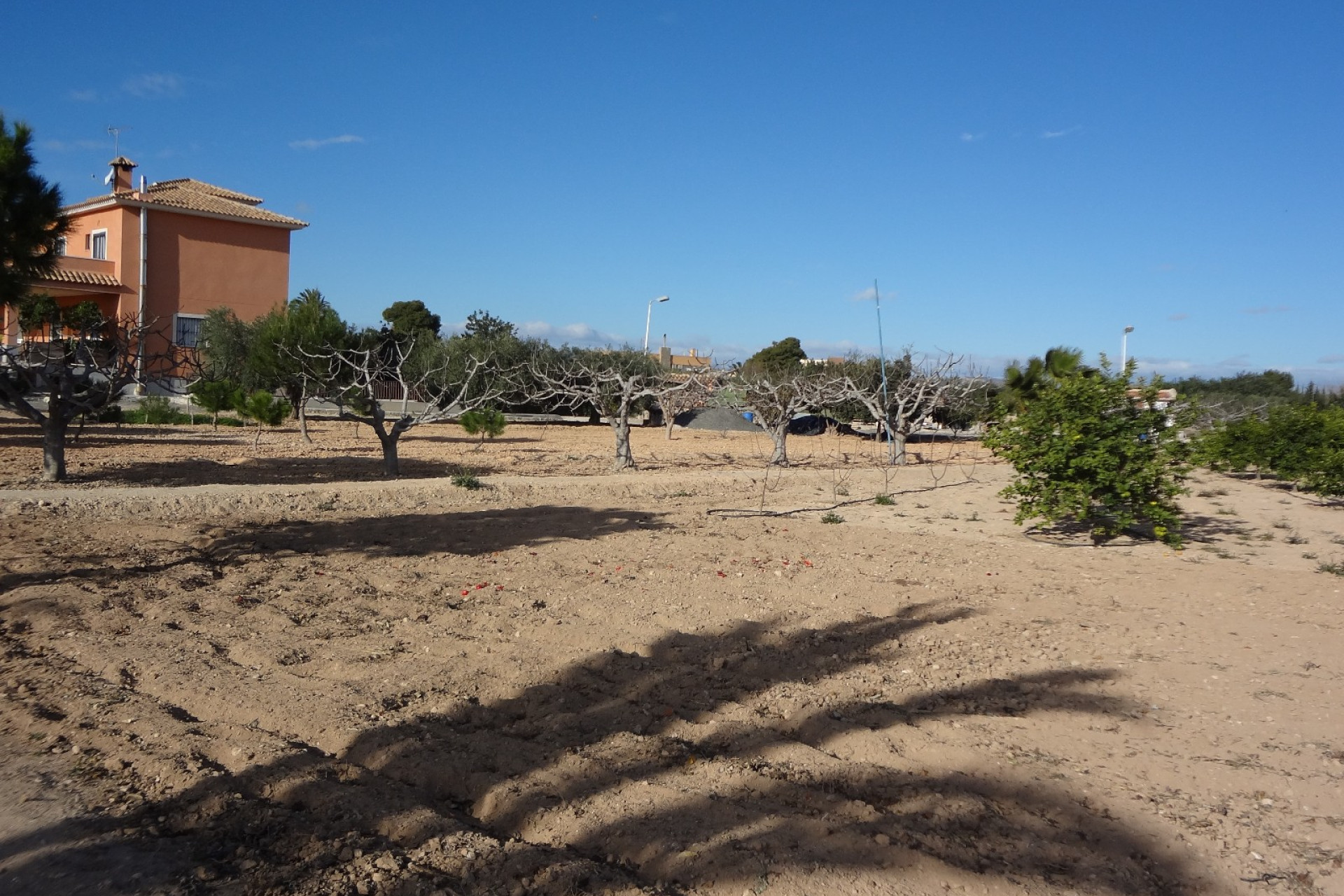 Resale - Finca / Country Property - El Altet