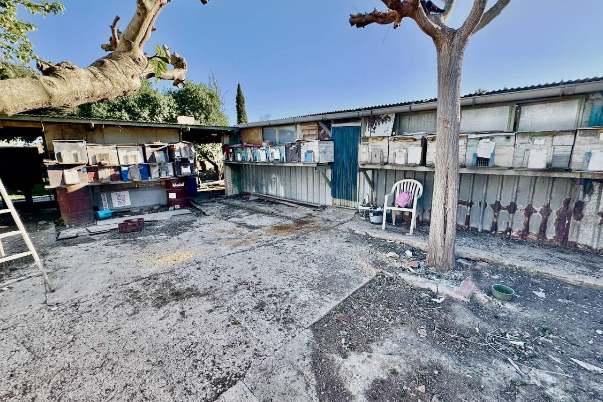 Resale - Finca / Country Property - Guardamar del Segura - Guardamar Del Segura