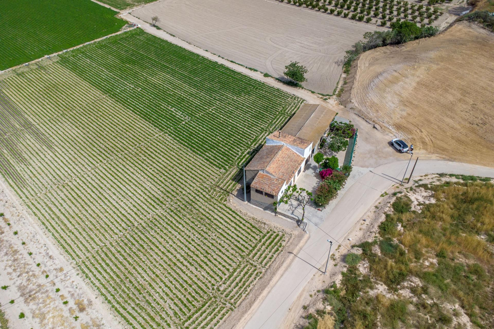 Resale - Finca / Country Property - Orihuela - Desamparados-Hurchillo-Torremendo