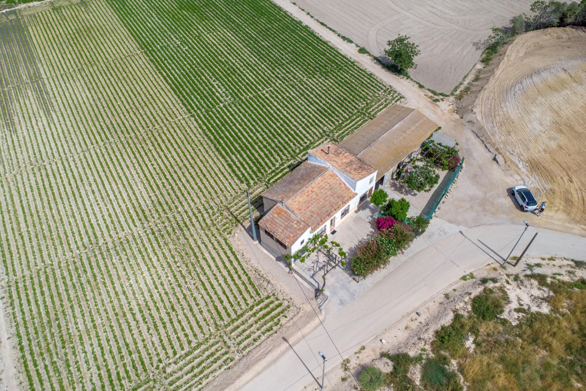 Resale - Finca / Country Property - Orihuela - Desamparados-Hurchillo-Torremendo