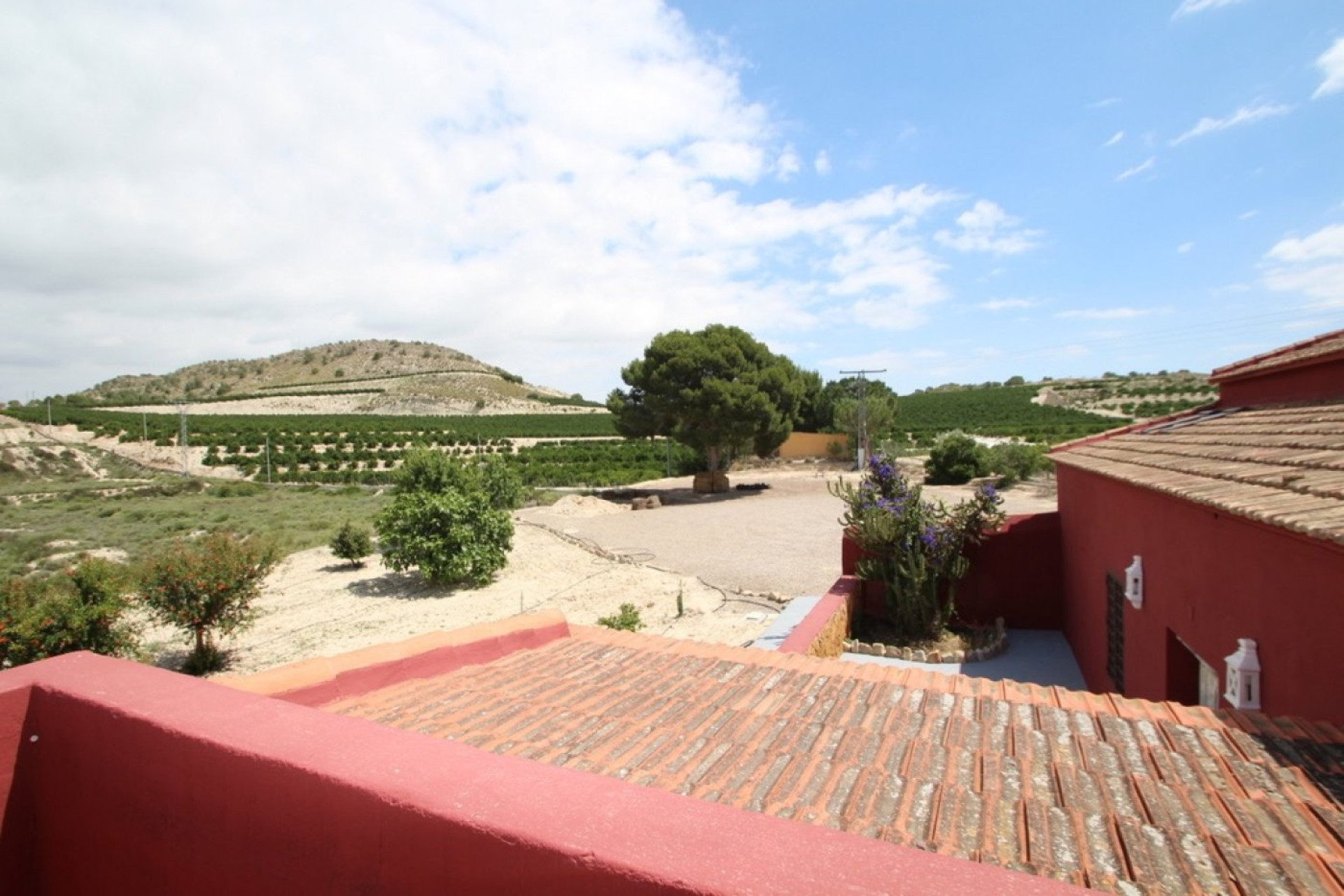 Resale - Finca / Country Property - Orihuela - Torremendo