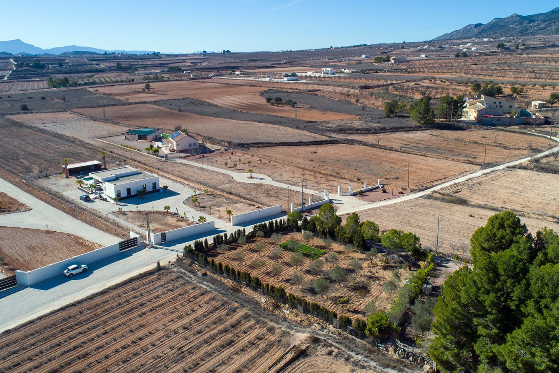 Resale - Finca / Country Property - Pinoso - Campo