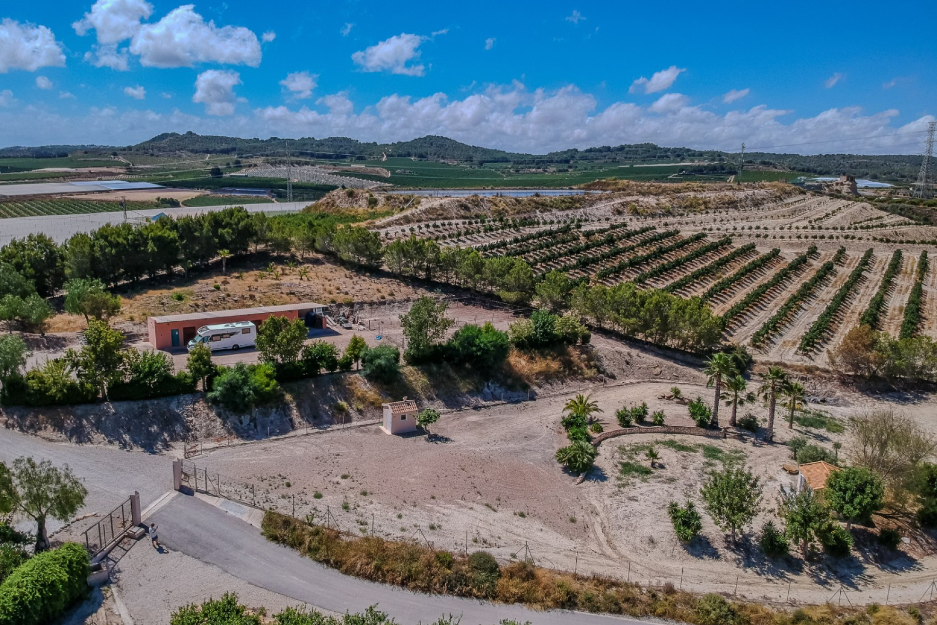 Resale - Finca / Country Property - San Miguel de Salinas - Torremendo