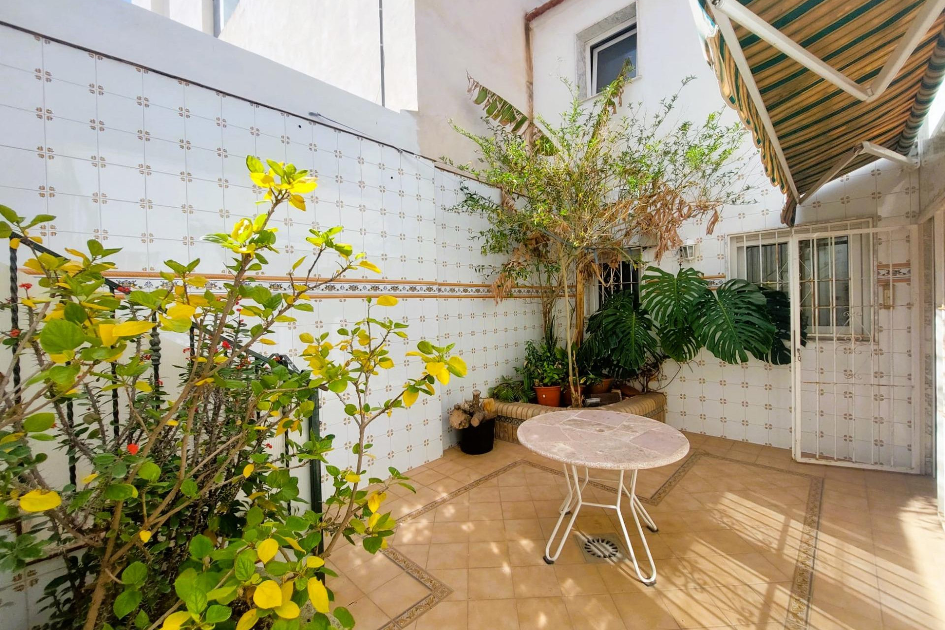 Resale - Finca / Country Property - Torrevieja - Centro
