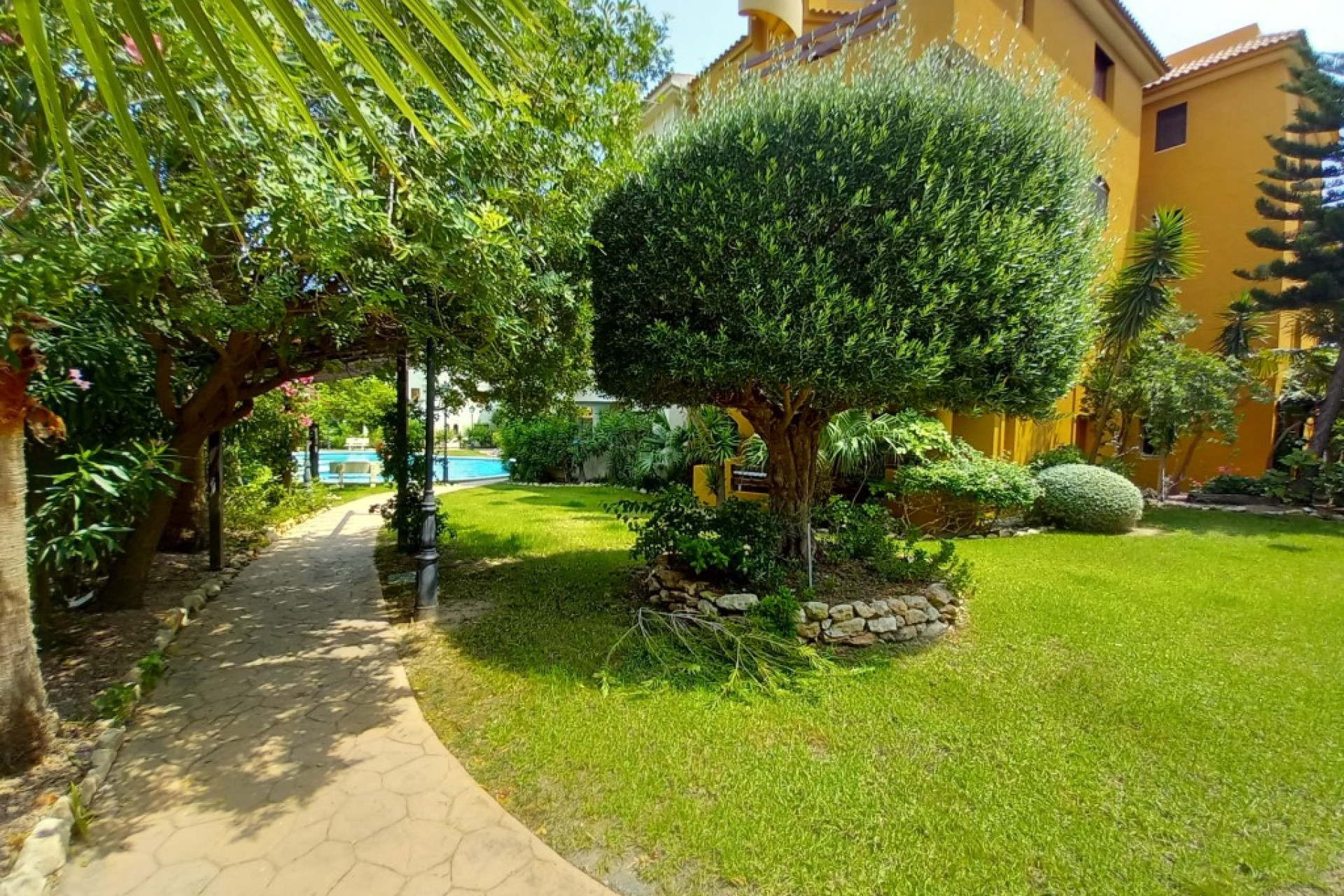Resale - Penthouse - Punta Prima