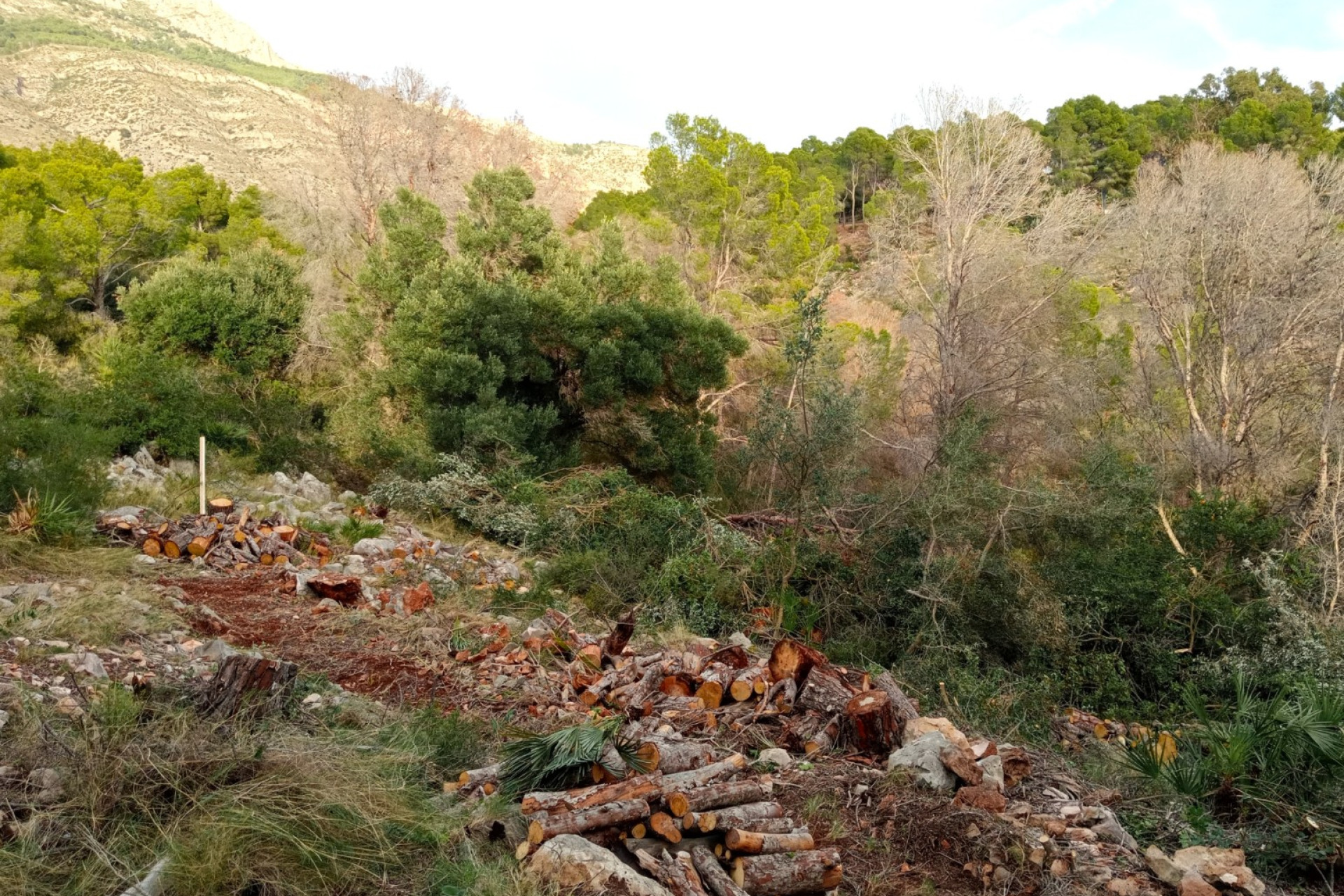 Resale - Plot / Land - Altea