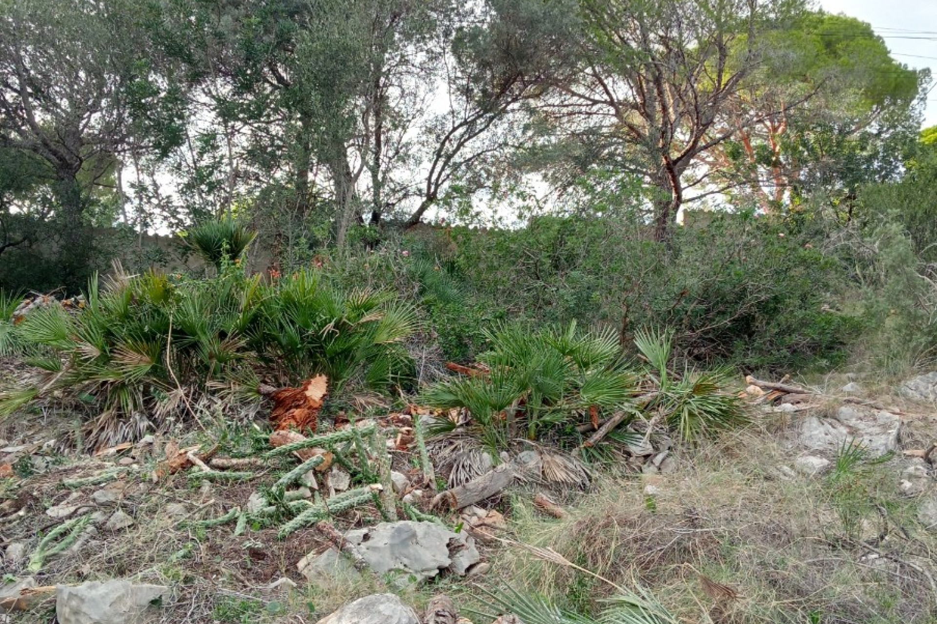 Resale - Plot / Land - Altea