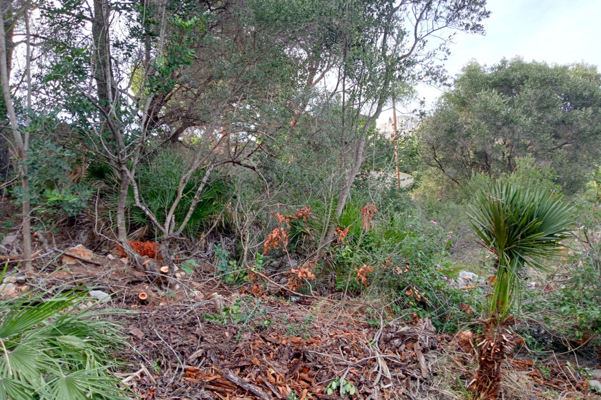 Resale - Plot / Land - Altea