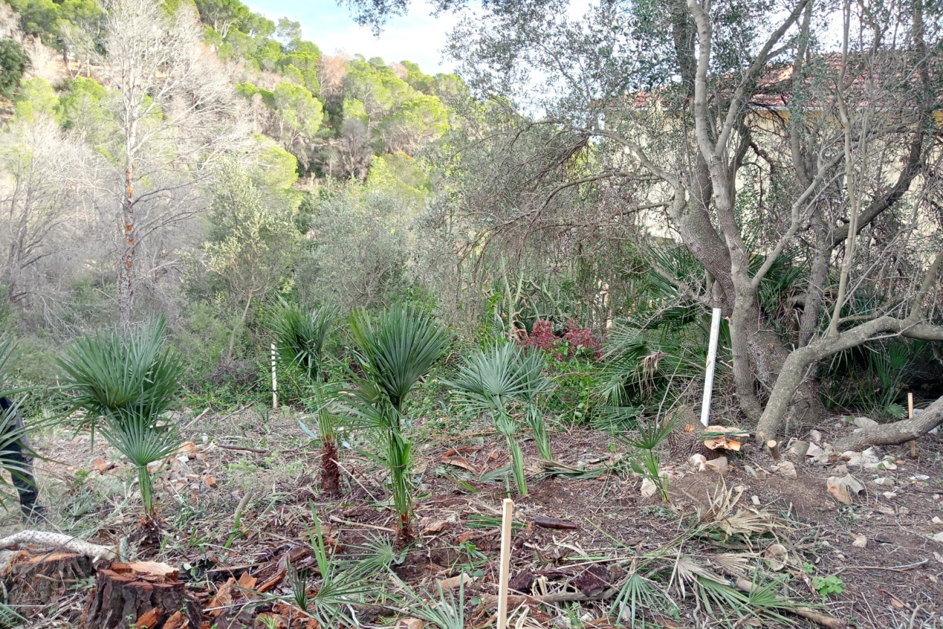 Resale - Plot / Land - Altea