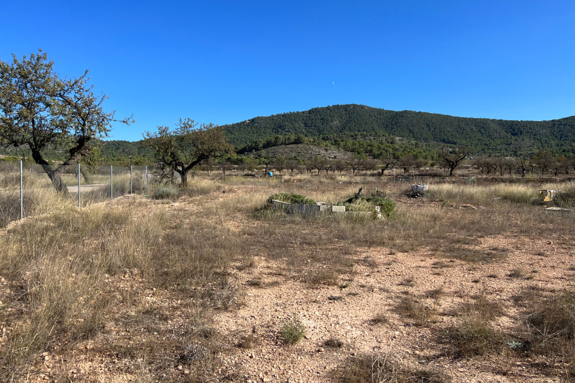 Resale - Plot / Land - Hondón de las Nieves