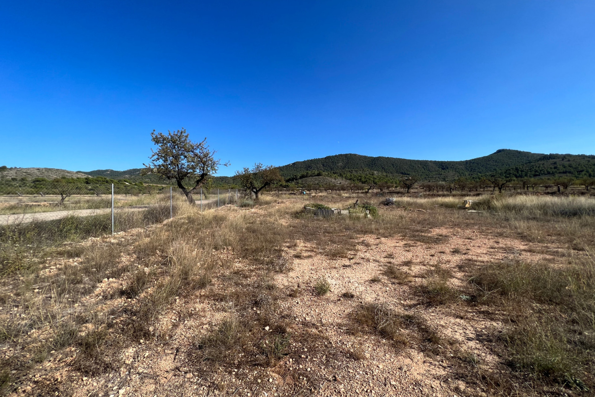 Resale - Plot / Land - Hondón de las Nieves