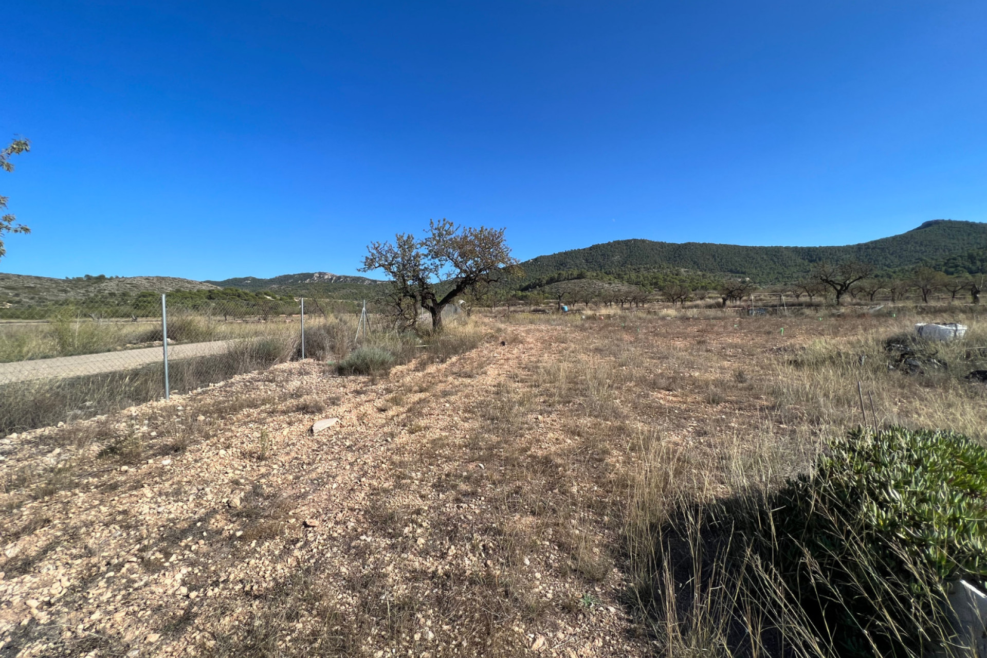 Resale - Plot / Land - Hondón de las Nieves