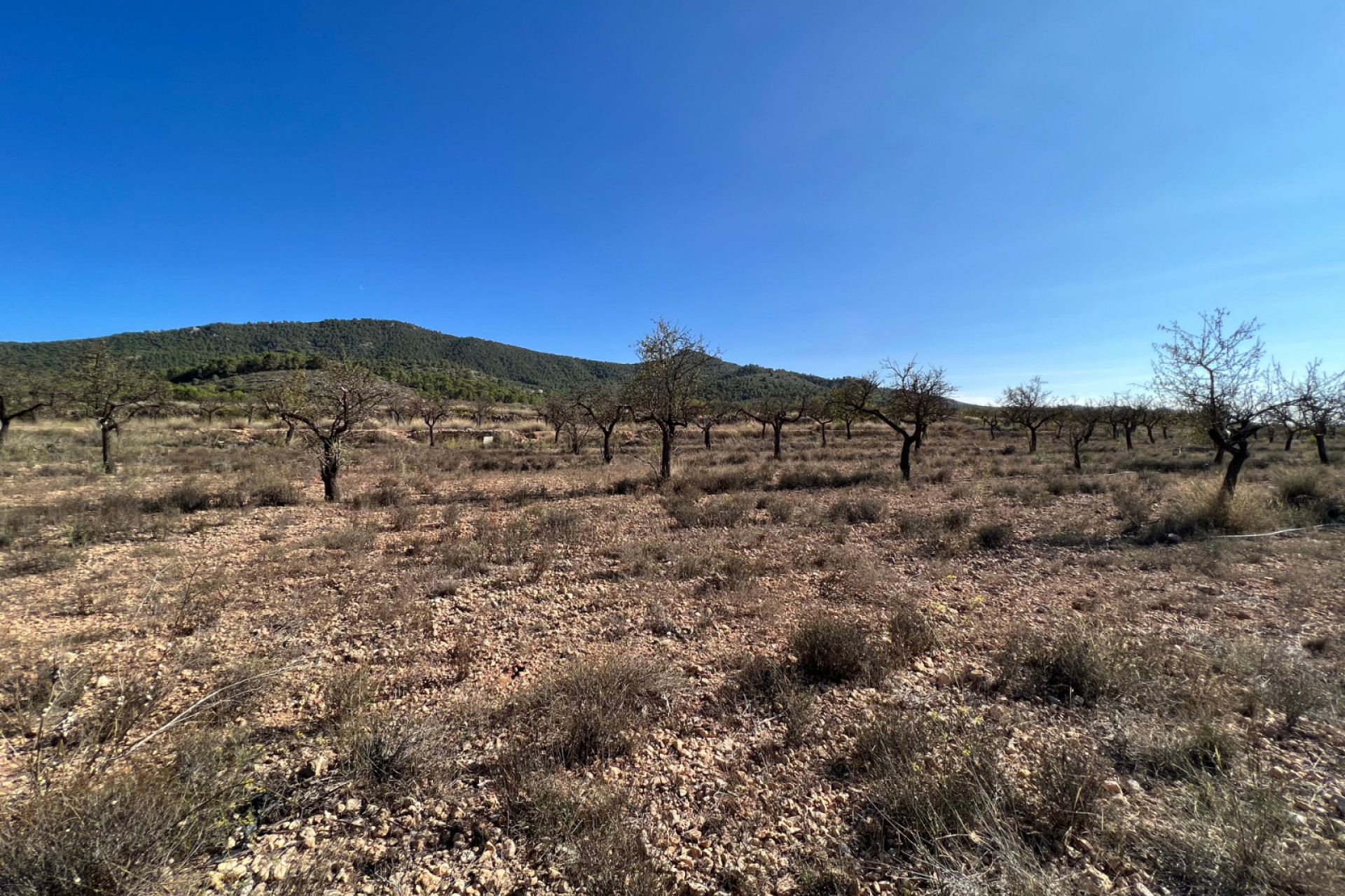 Resale - Plot / Land - Hondón de las Nieves