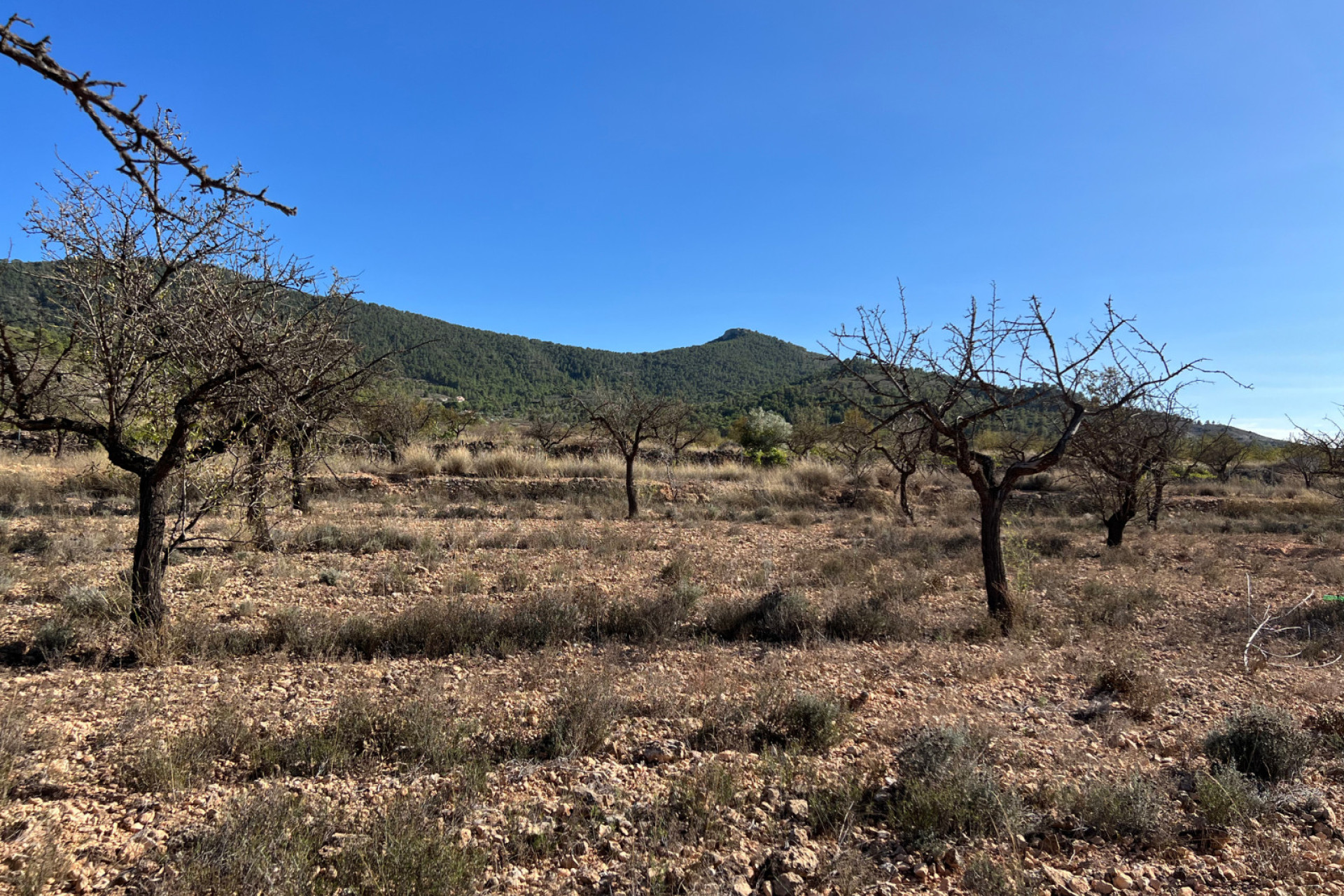 Resale - Plot / Land - Hondón de las Nieves