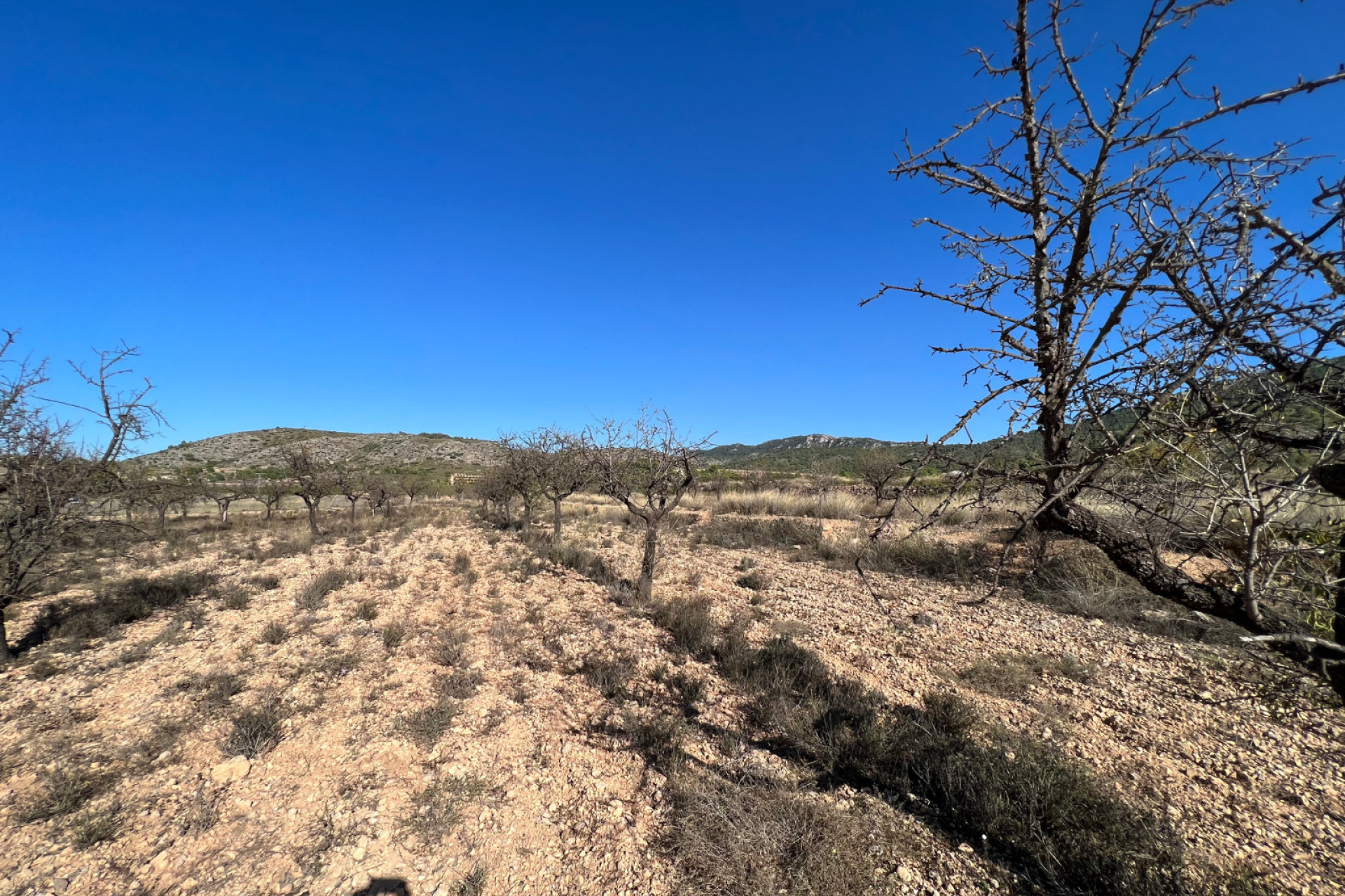 Resale - Plot / Land - Hondón de las Nieves