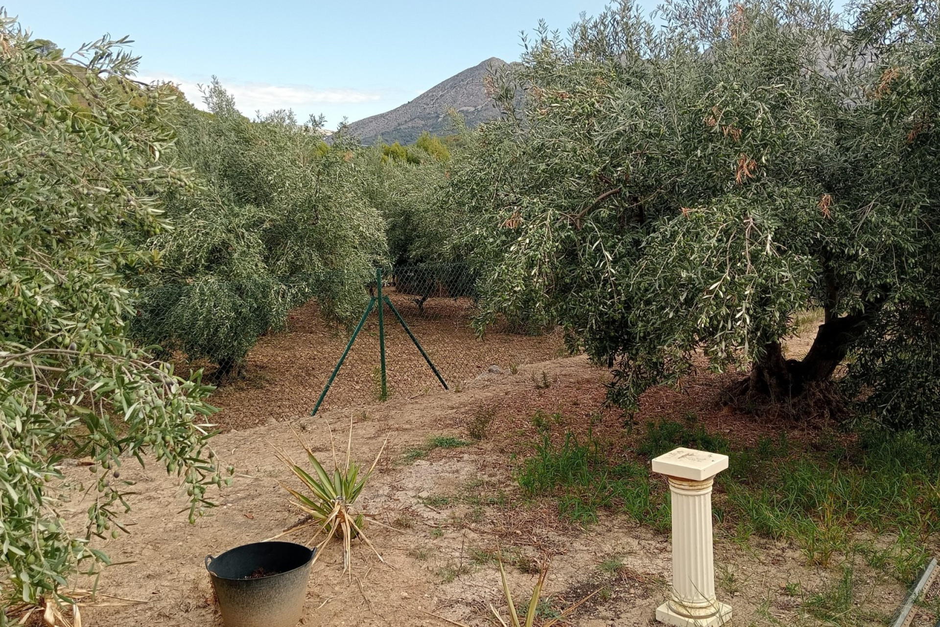 Resale - Plot / Land - La Nucía