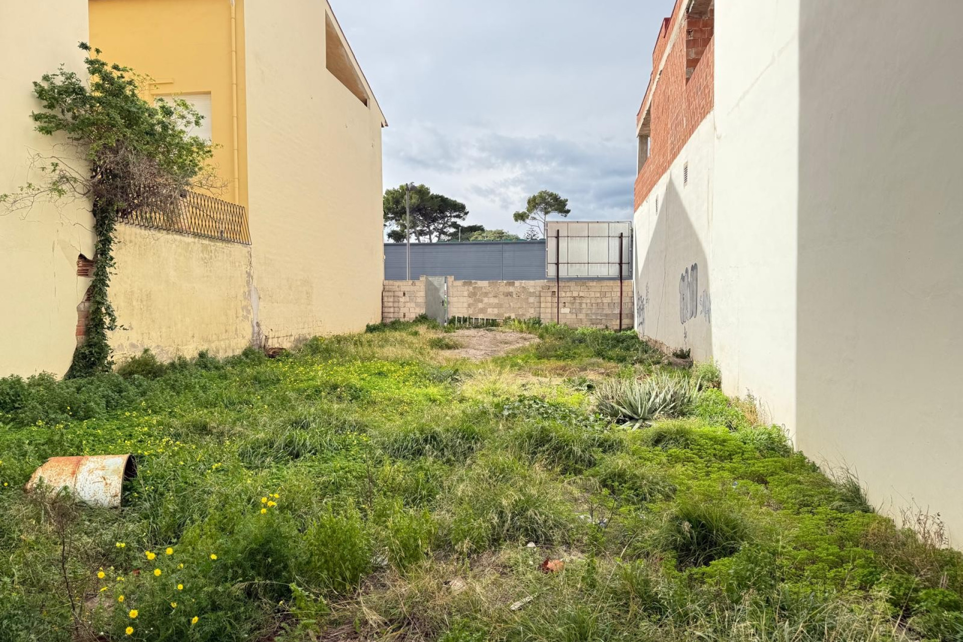 Resale - Plot / Land - Ondara