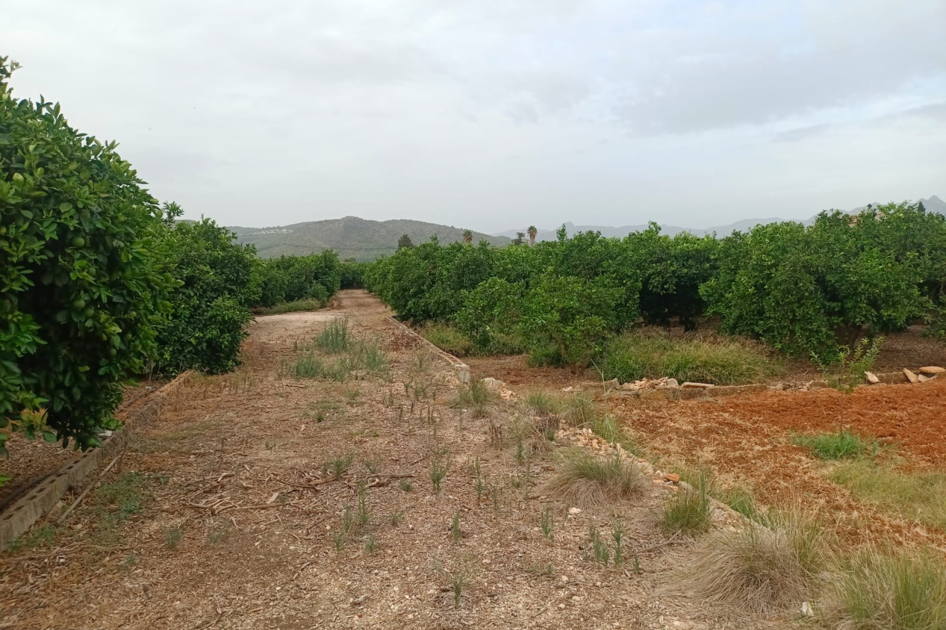 Resale - Plot / Land - Pedreguer