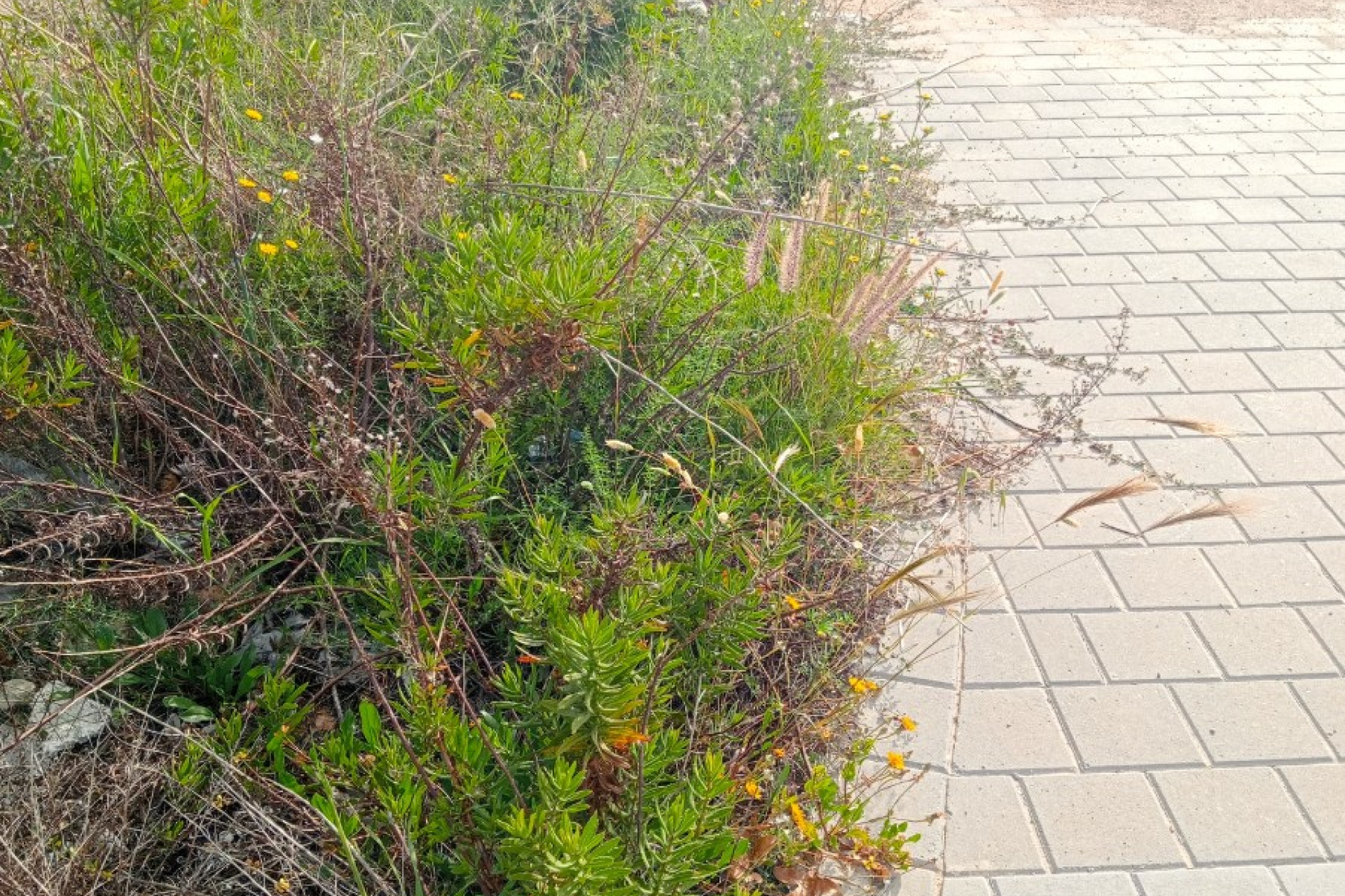 Resale - Plot / Land - Villajoyosa