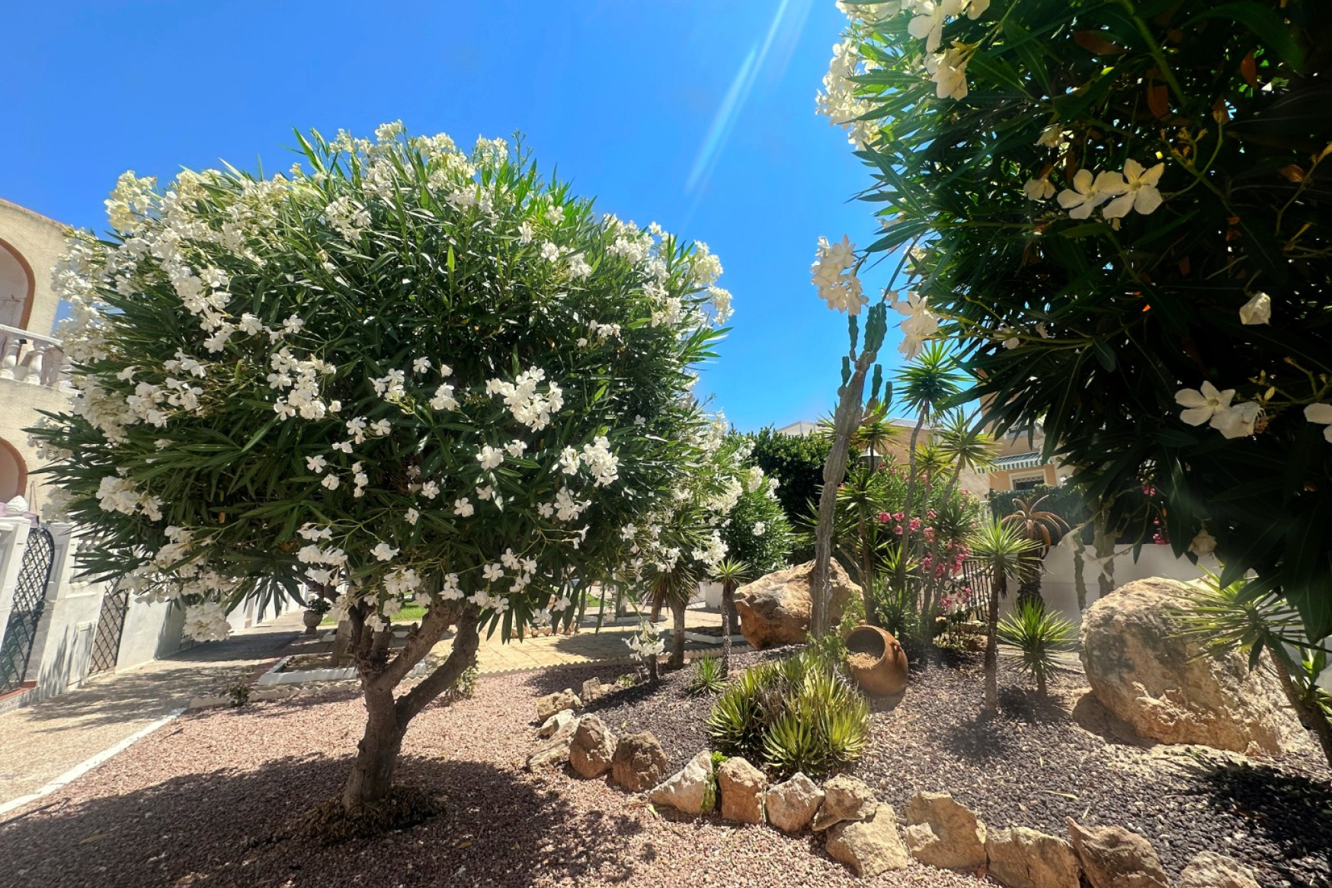Resale - Townhouse - La Mata