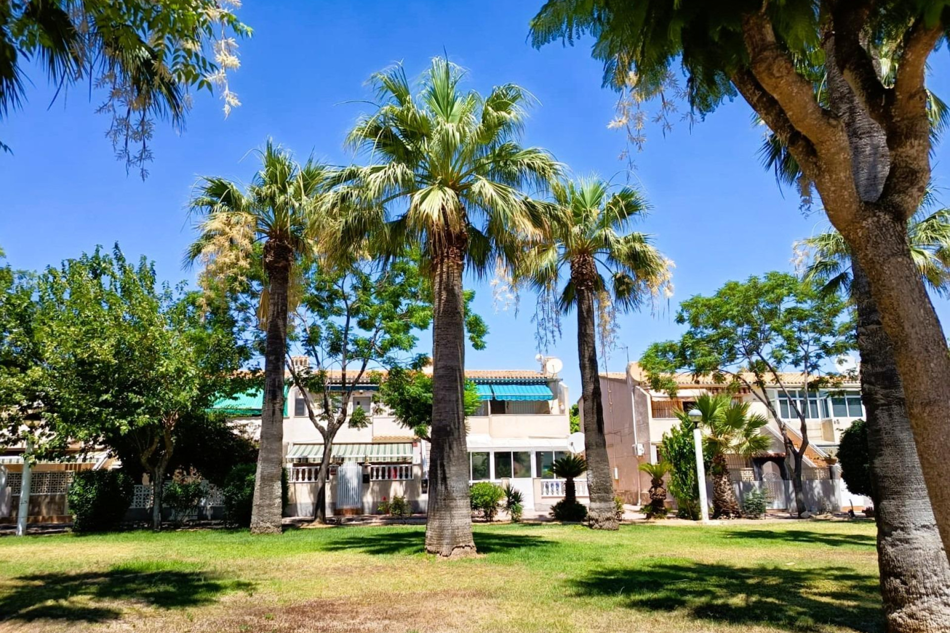Resale - Townhouse - Orihuela Costa - La Regia