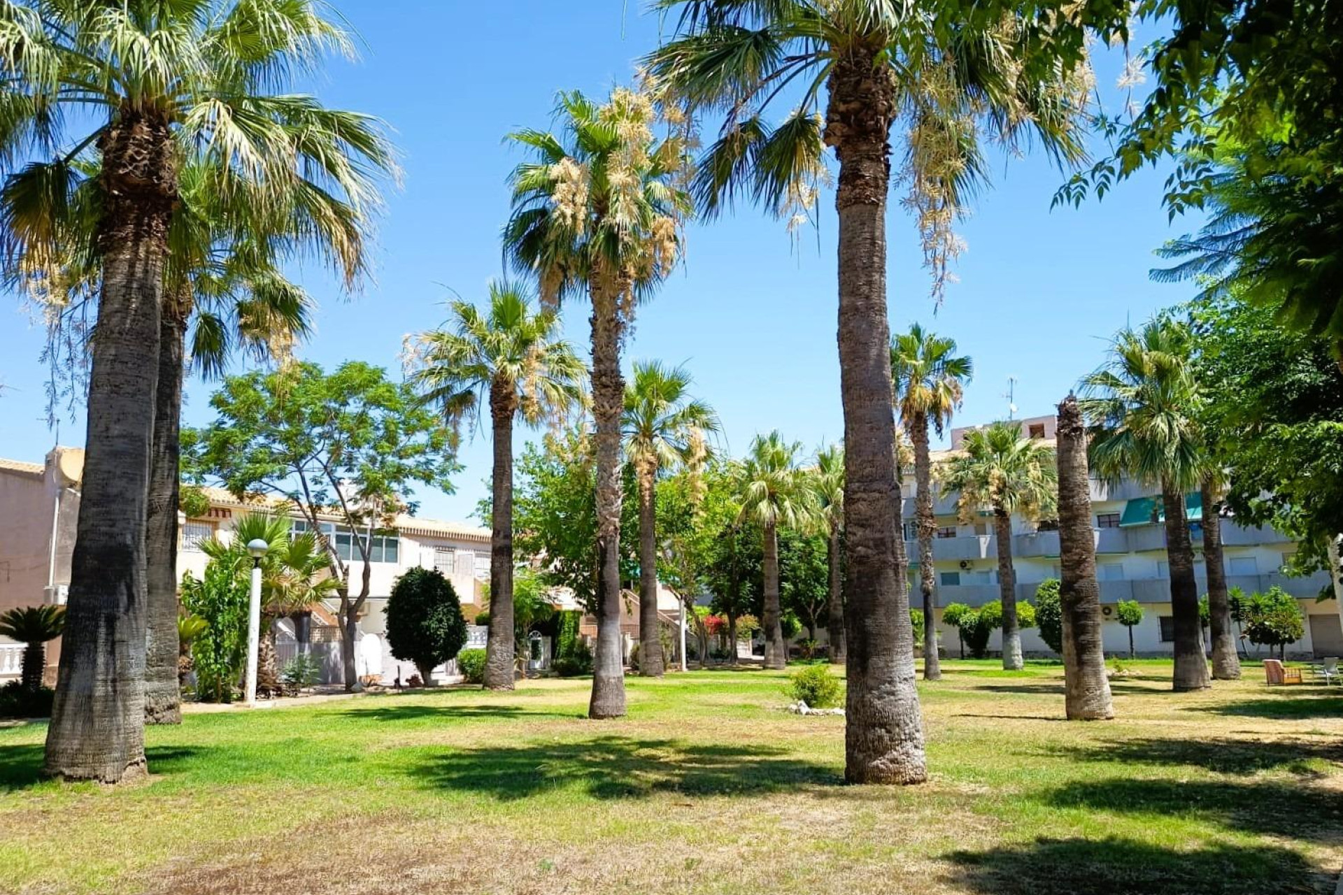 Resale - Townhouse - Orihuela Costa - La Regia