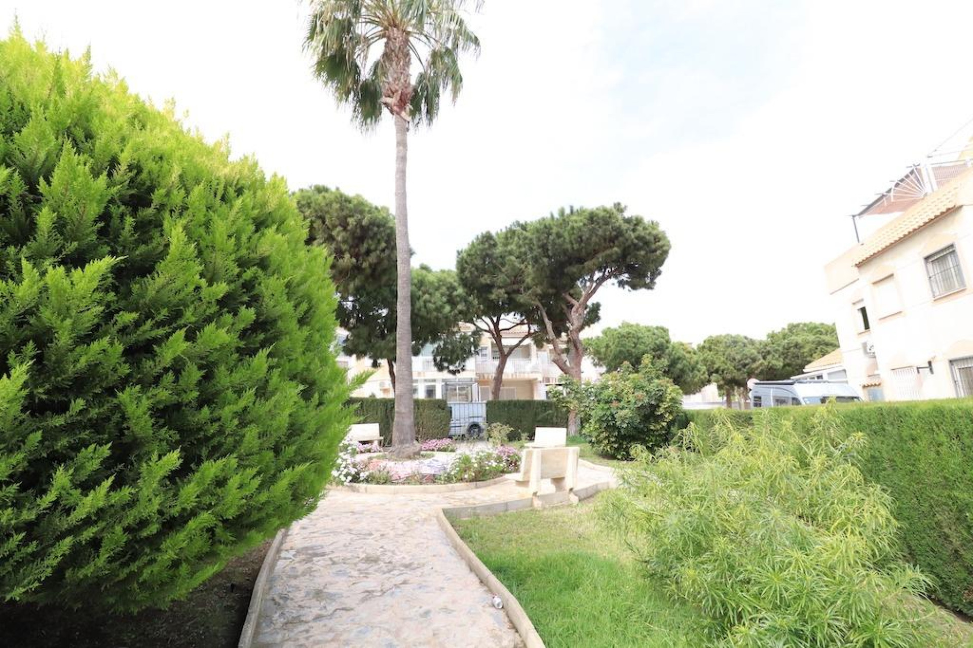 Resale - Townhouse - Torrevieja - Lago Jardin