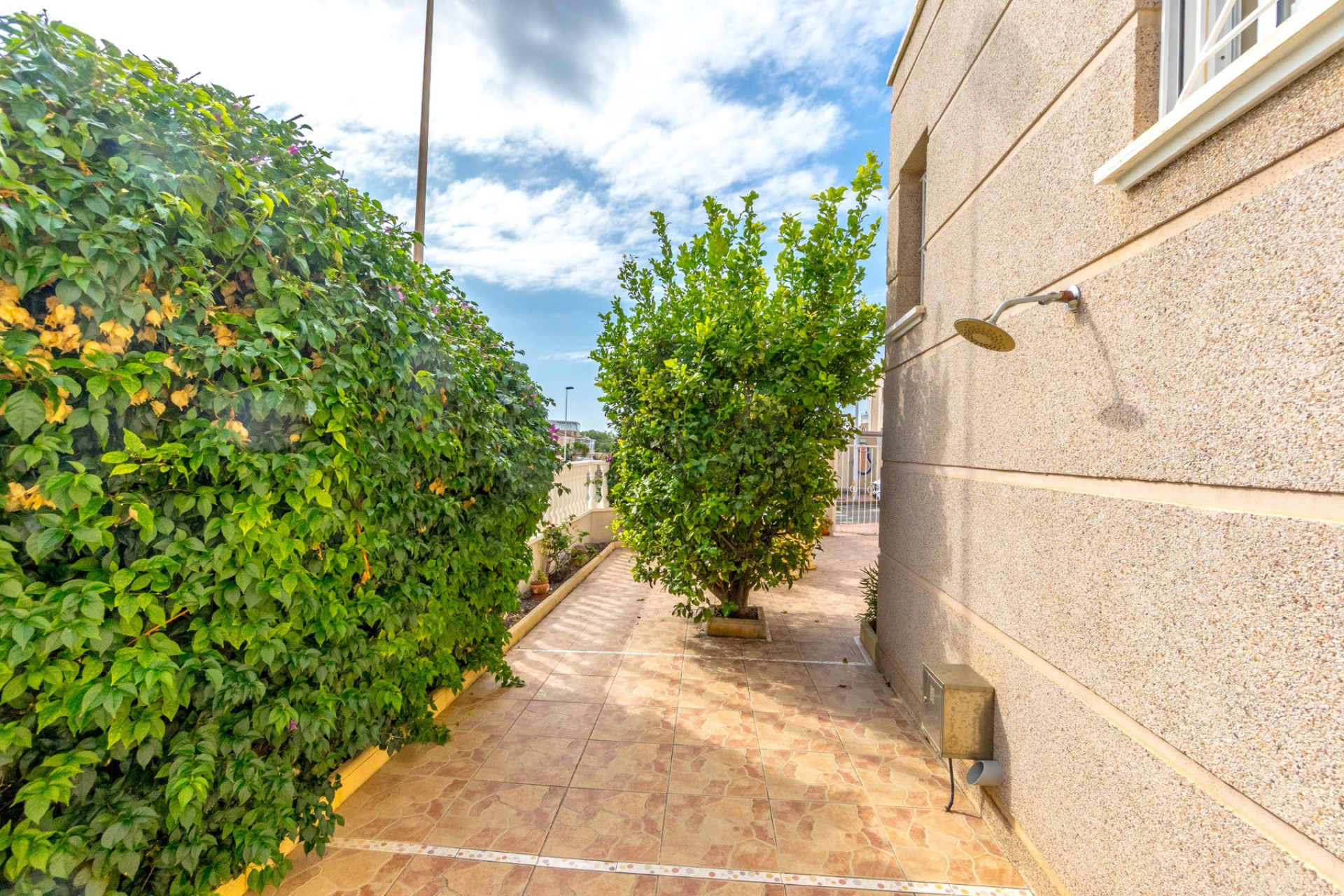 Resale - Townhouse - Torrevieja - torrevieja