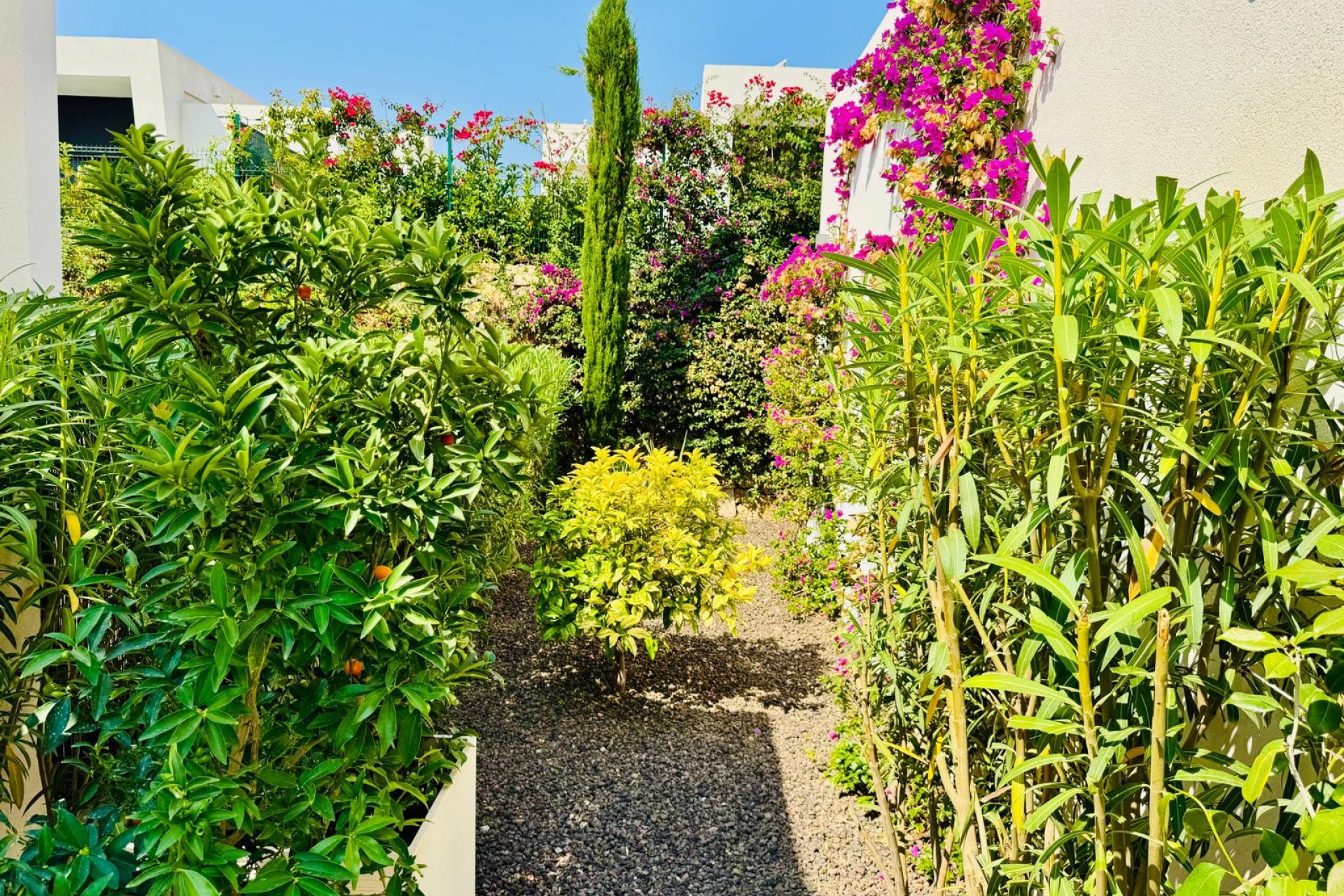 Resale - Villa - Algorfa - La Finca Golf