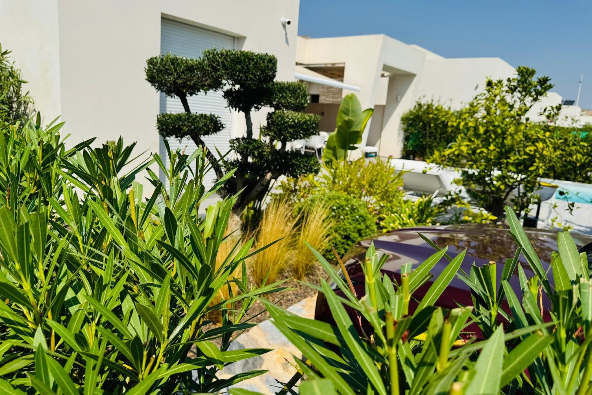 Resale - Villa - Algorfa - La Finca Golf