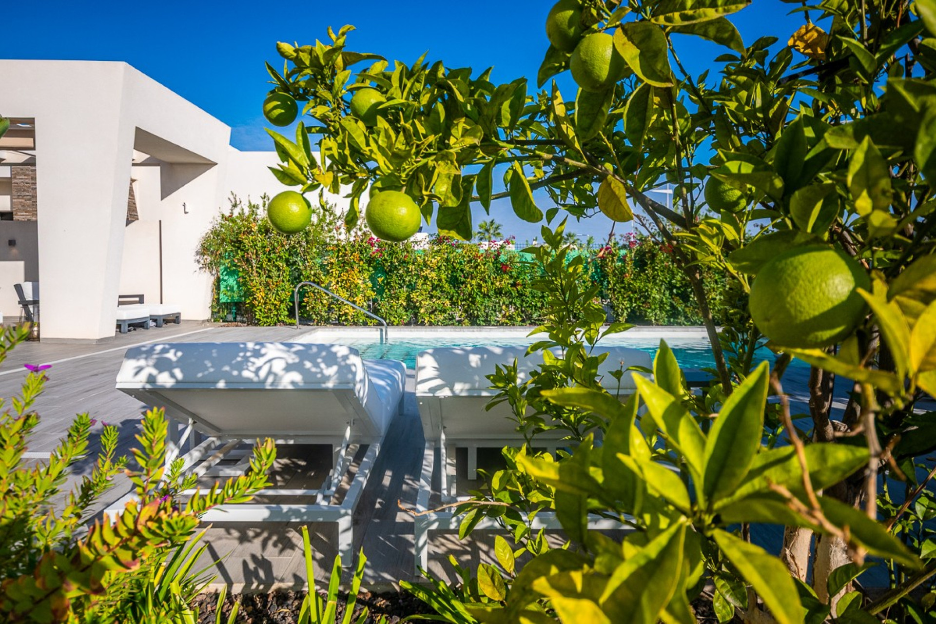 Resale - Villa - Algorfa - La Finca Golf