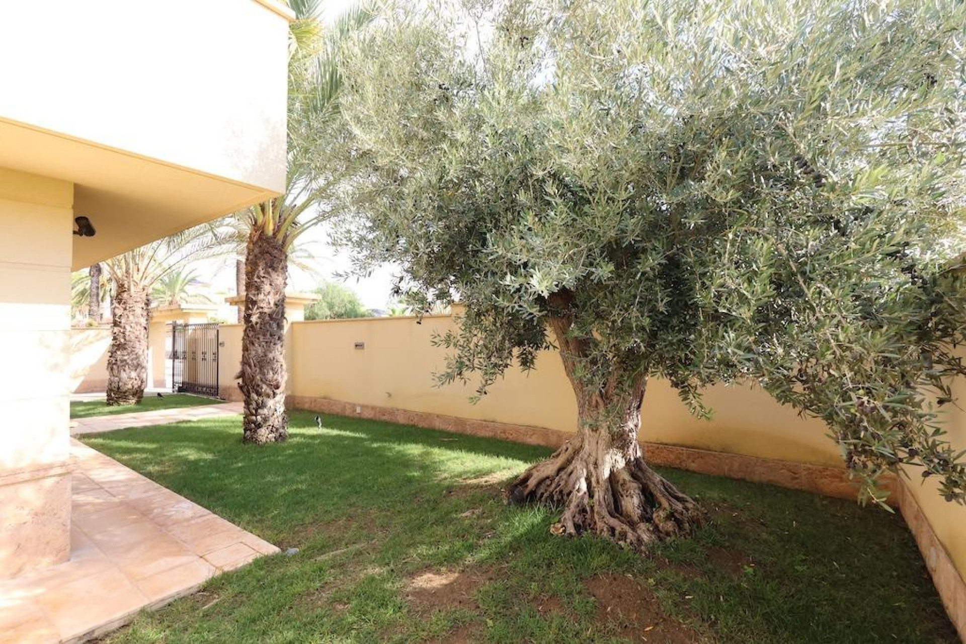 Resale - Villa - Cabo Roig - Costa blanca
