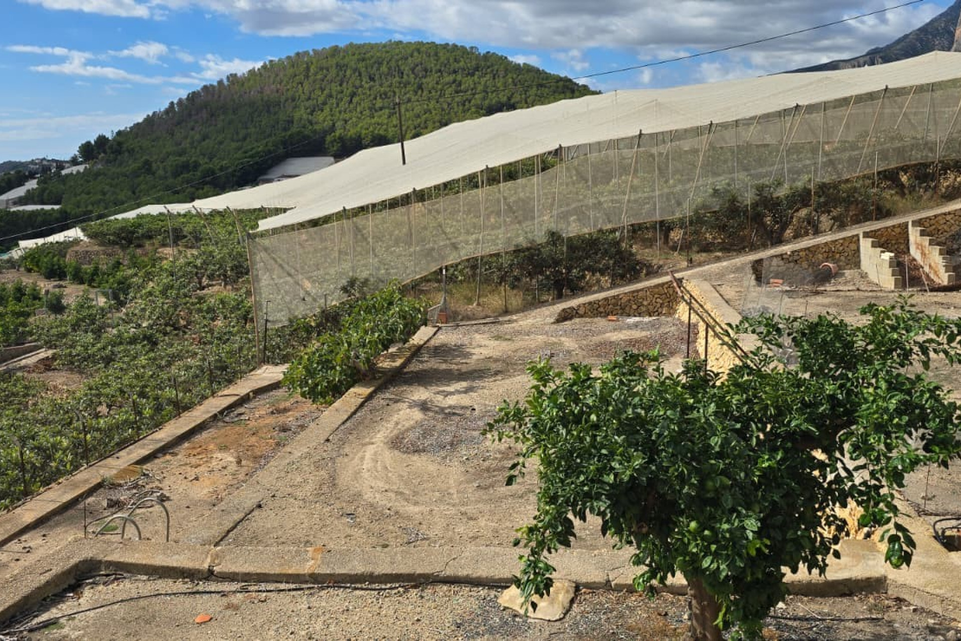 Resale - Villa - Callosa De Ensarrià