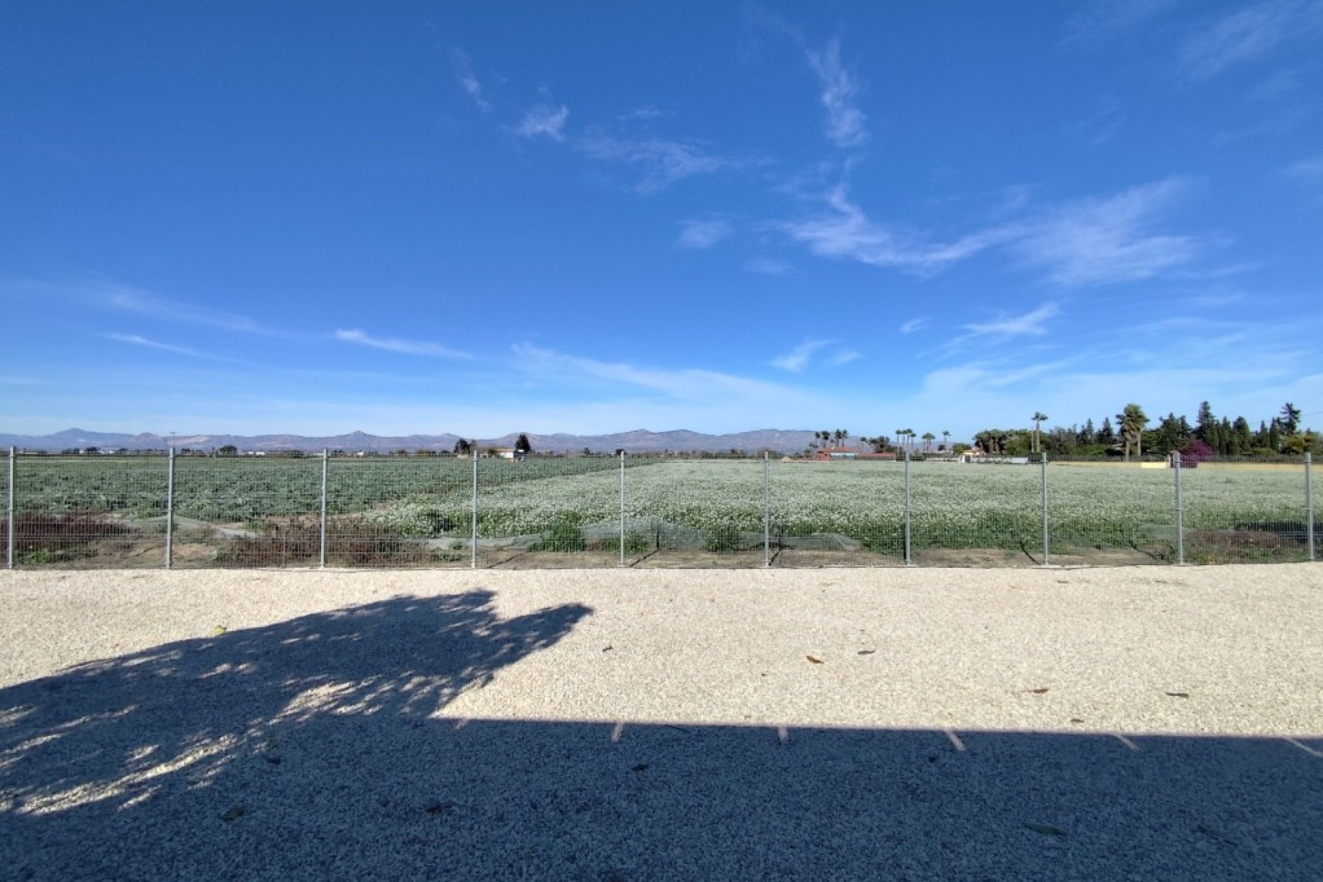 Resale - Villa - El Mudamiento