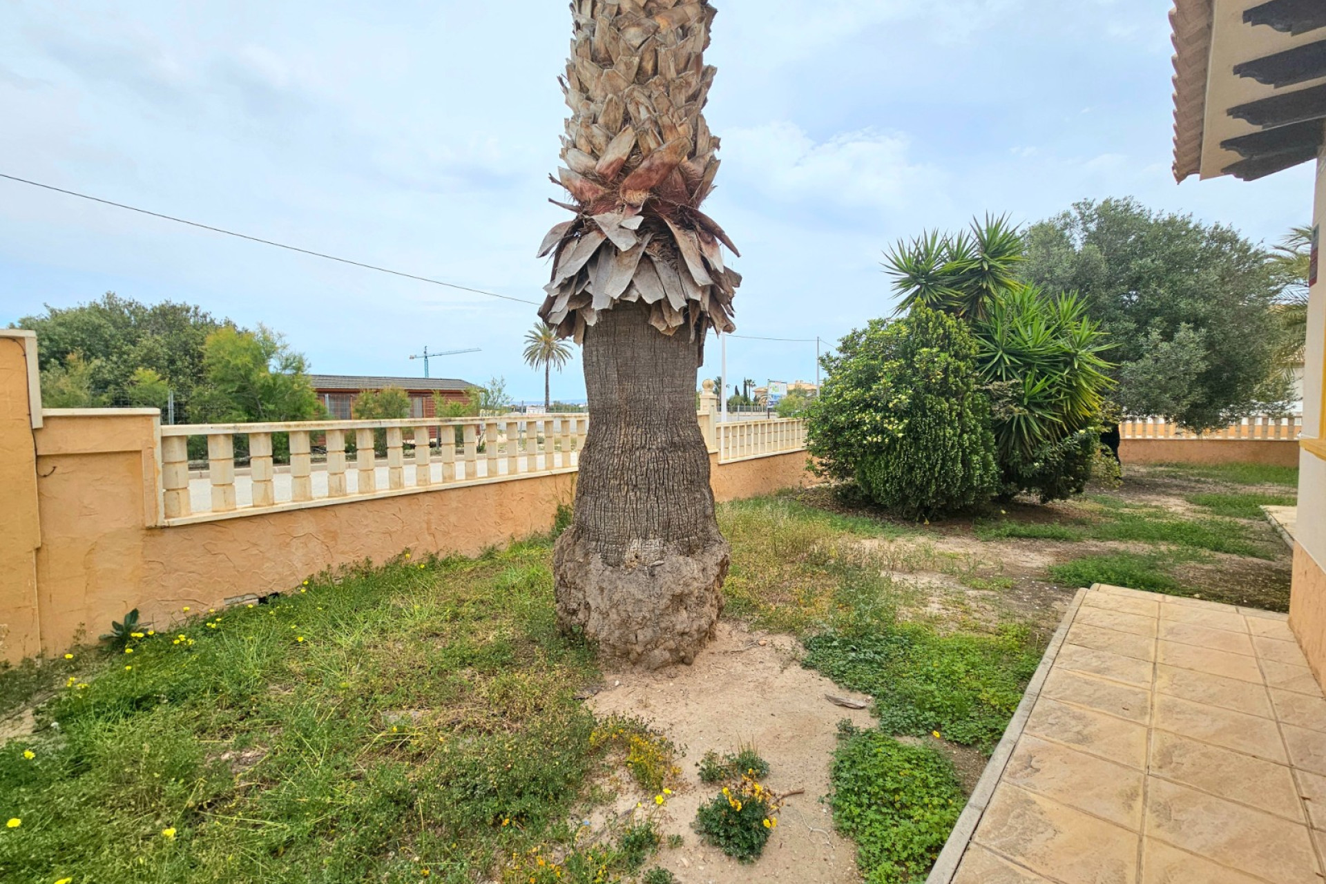 Resale - Villa - Elche - La Marina