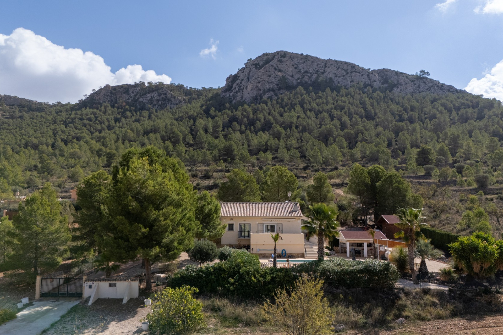 Resale - Villa - La Zarza