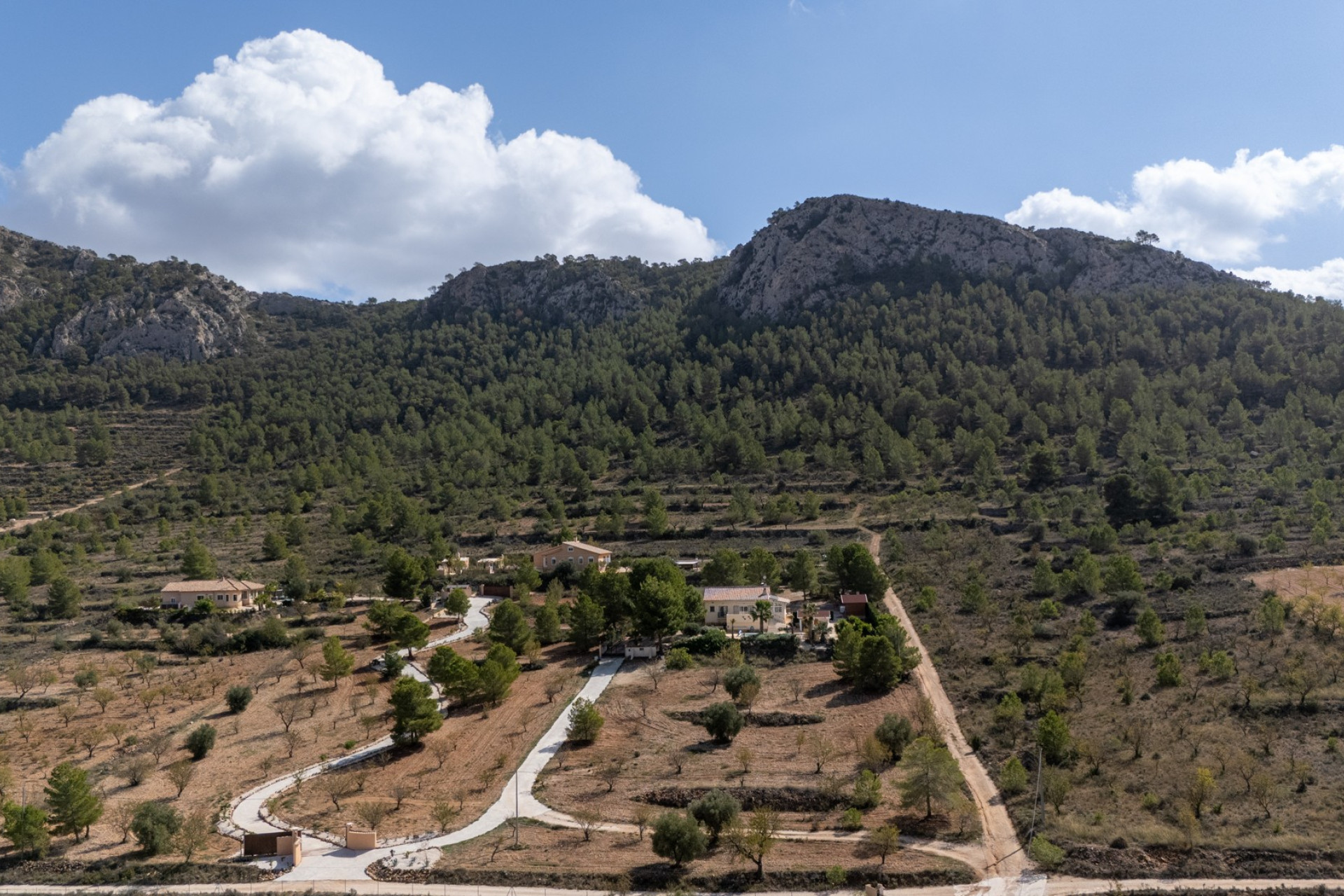 Resale - Villa - La Zarza