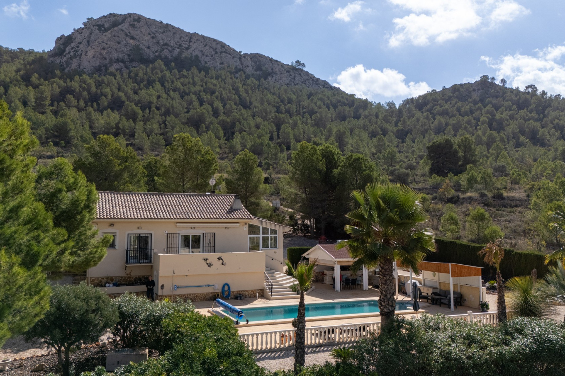Resale - Villa - La Zarza