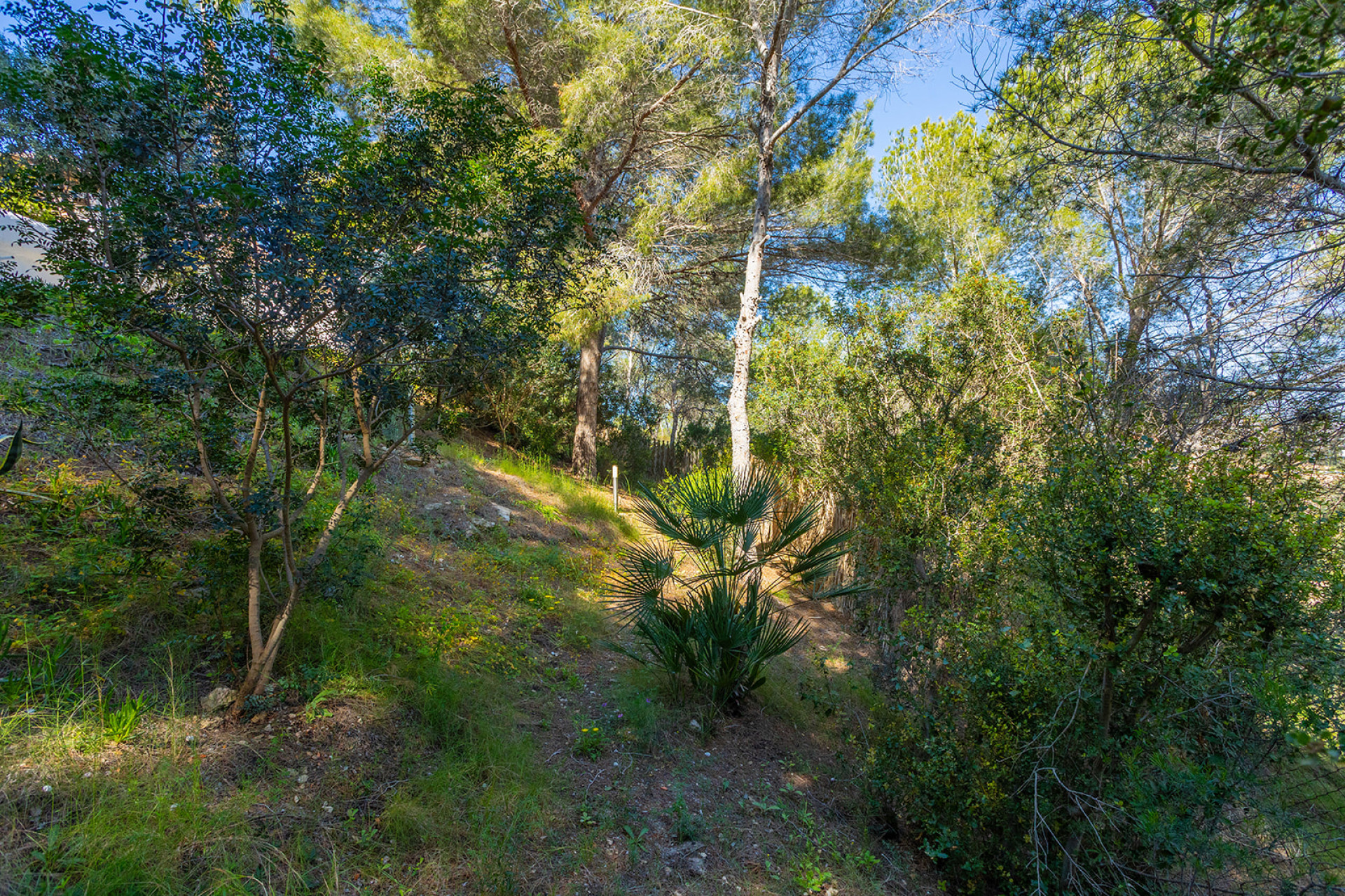 Resale - Villa - Orihuela - Orihuela Costa