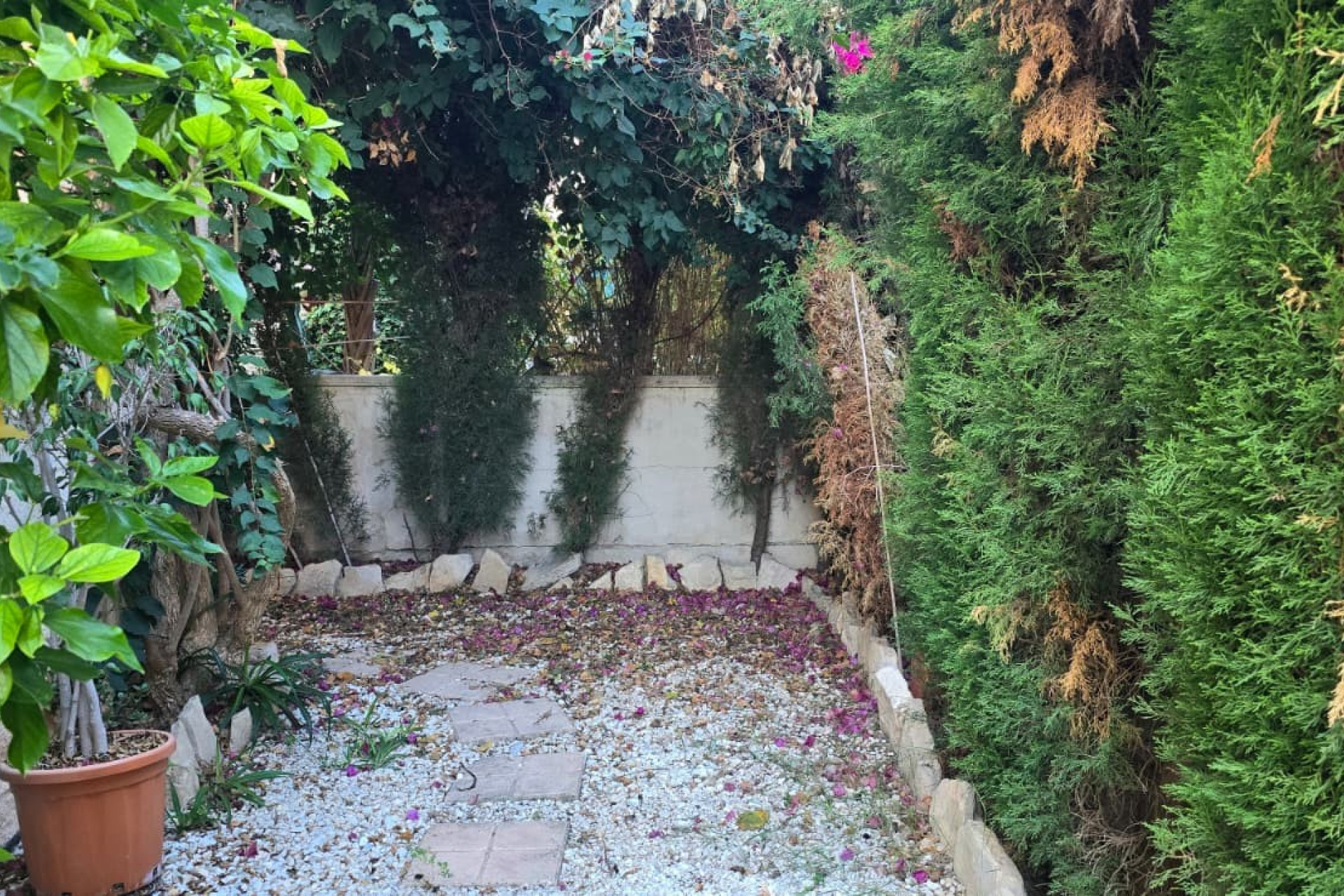 Reventa - Adosado - Albir