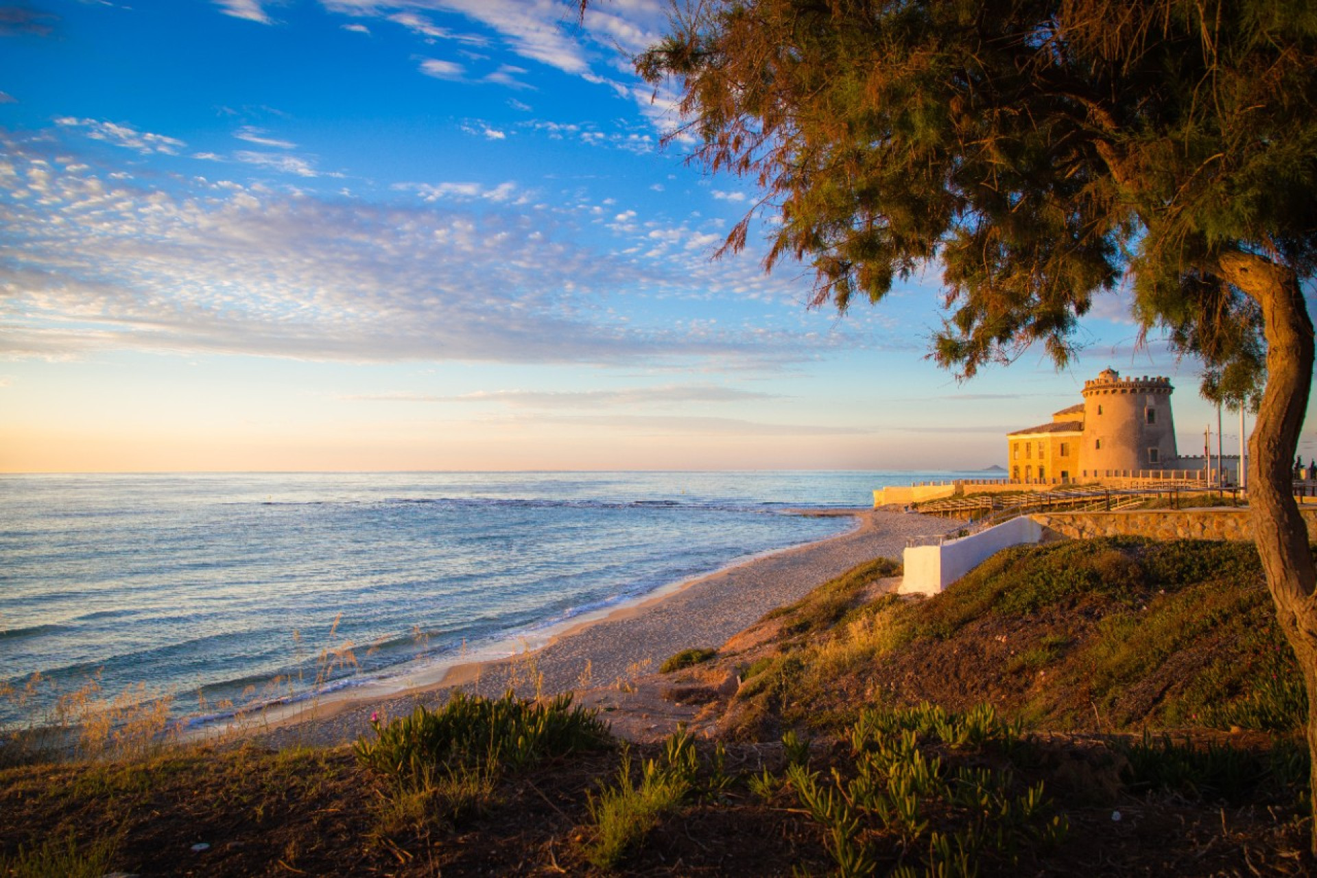 Reventa - Adosado - Pilar de la Horadada