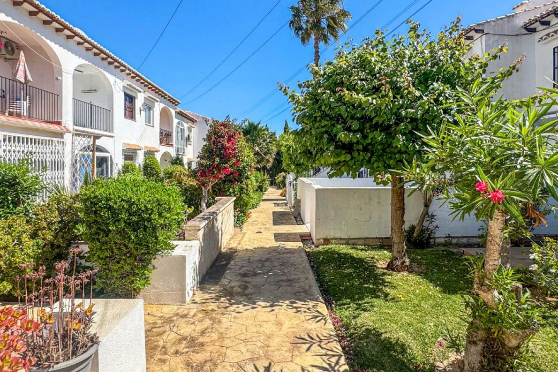 Reventa - Adosado - Torrevieja - Los Balcones - Los Altos del Edén