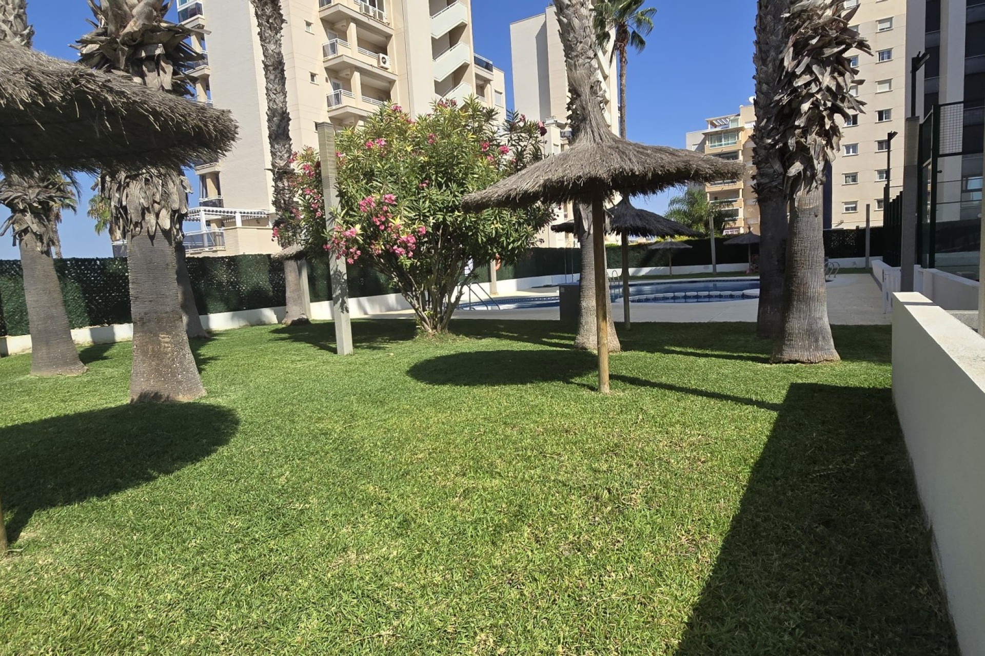 Reventa - Apartamento / piso - Guardamar del Segura