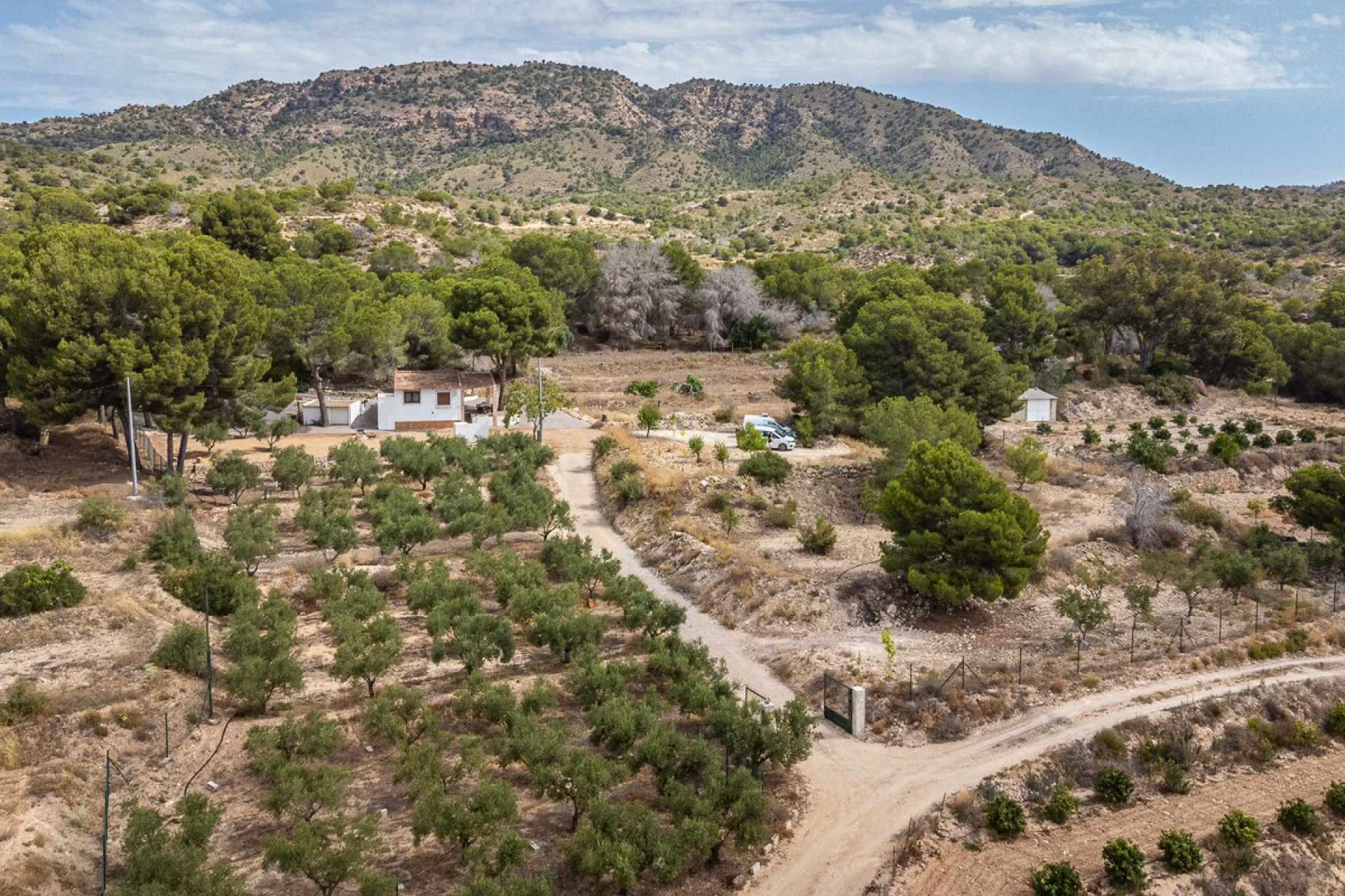 Reventa - Apartamento / piso - LA TERCIA - La Tercia